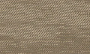 22062 Koumbala - Dark Natural