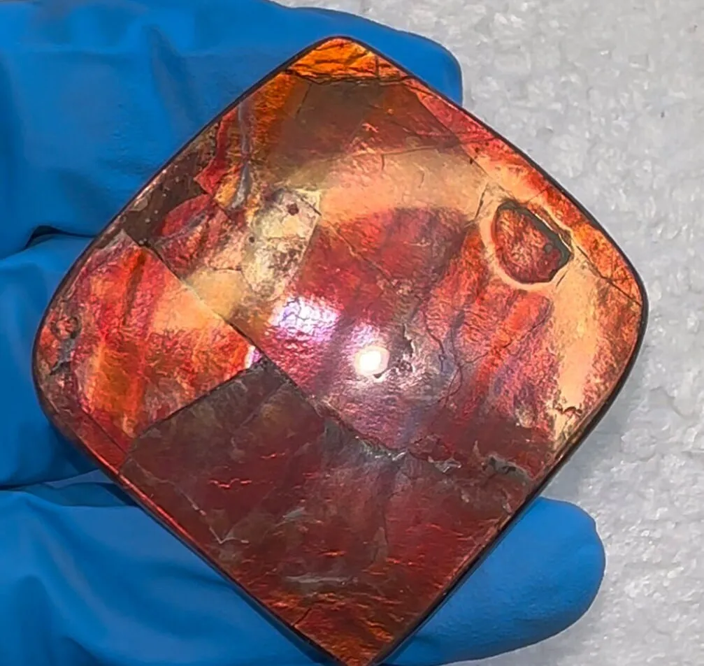 2" Ammolite Imperial Double-Sided NATURAL Polished  Freeform  Stone  Collector's Gemstone  Polished/Coated IMP98