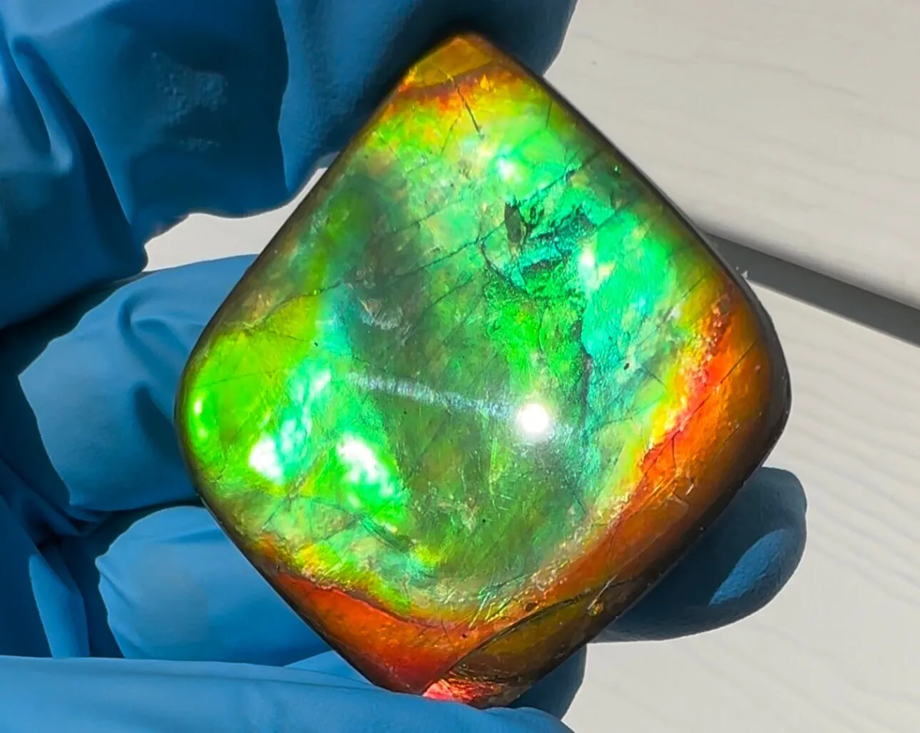 2" Ammolite Imperial Double-Sided NATURAL Polished  Freeform  Stone  Collector's Gemstone  Polished/Coated IMP98
