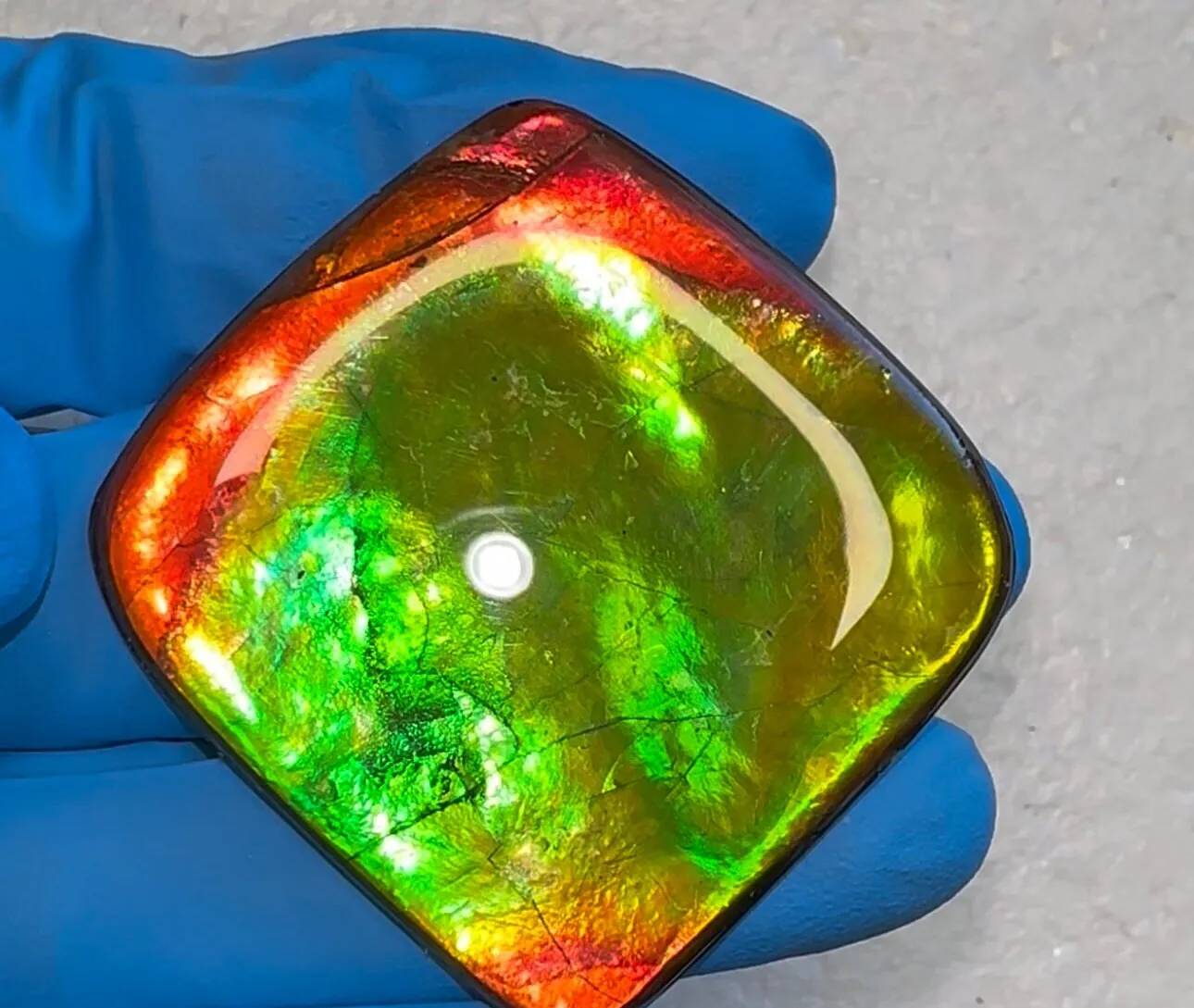 2" Ammolite Imperial Double-Sided NATURAL Polished  Freeform  Stone  Collector's Gemstone  Polished/Coated IMP98