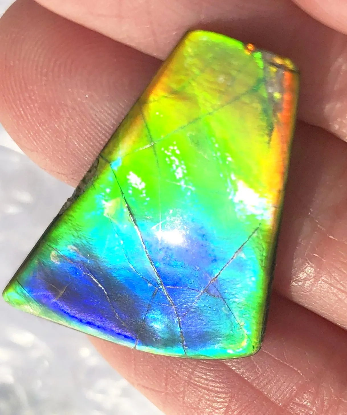 31 x 17  mm  - IMP-60 Natural Ammolite Double-Sided Imperial!　両面　レインボー！レアルース　アンモライト