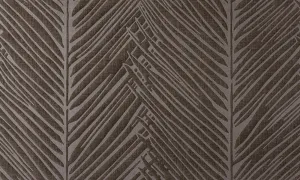 43032 Palma - Bark