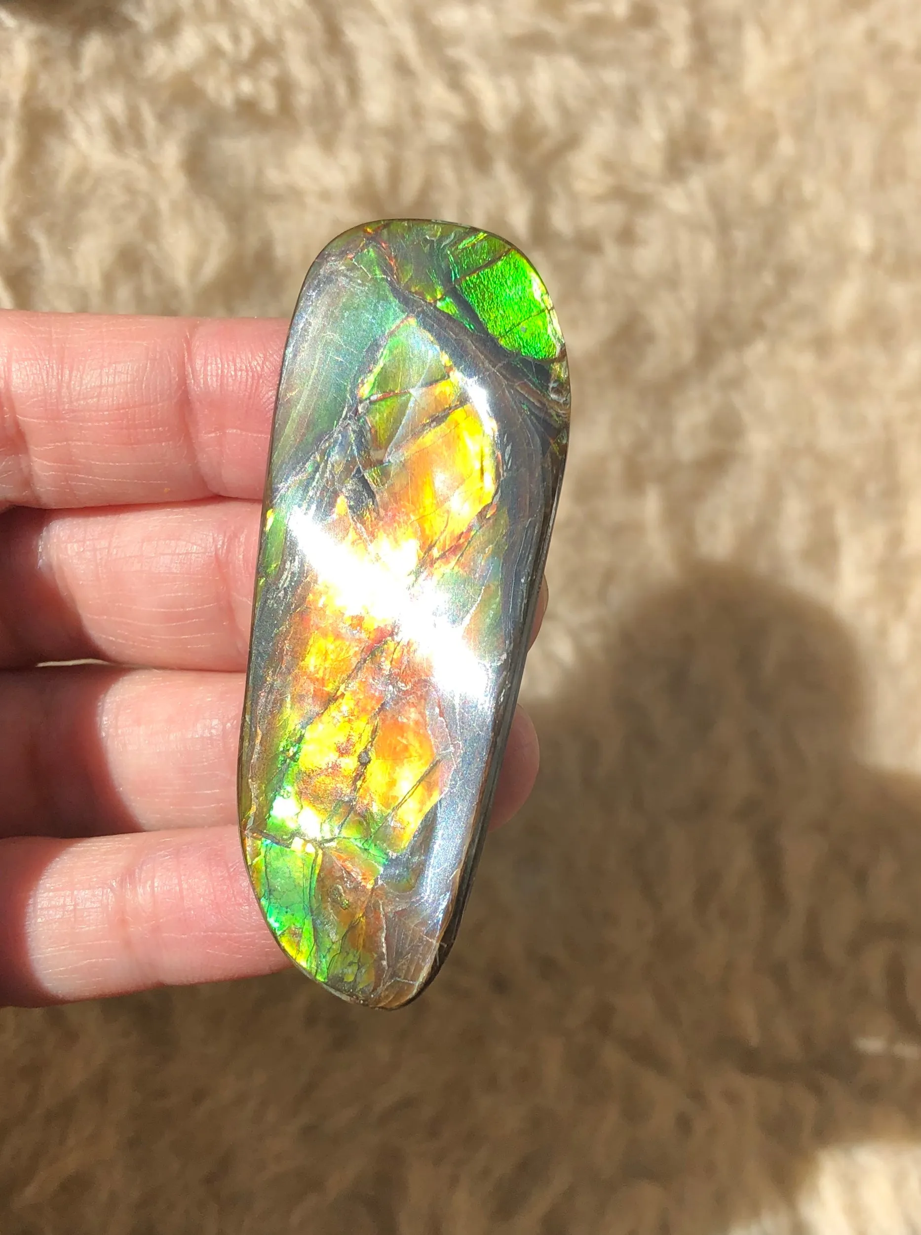 62 x 25  mm  - IMP-69 RARE  Natural Ammolite Double-Sided Rainbow Imperial! 両面iインペリアル！レアルース アンモライト