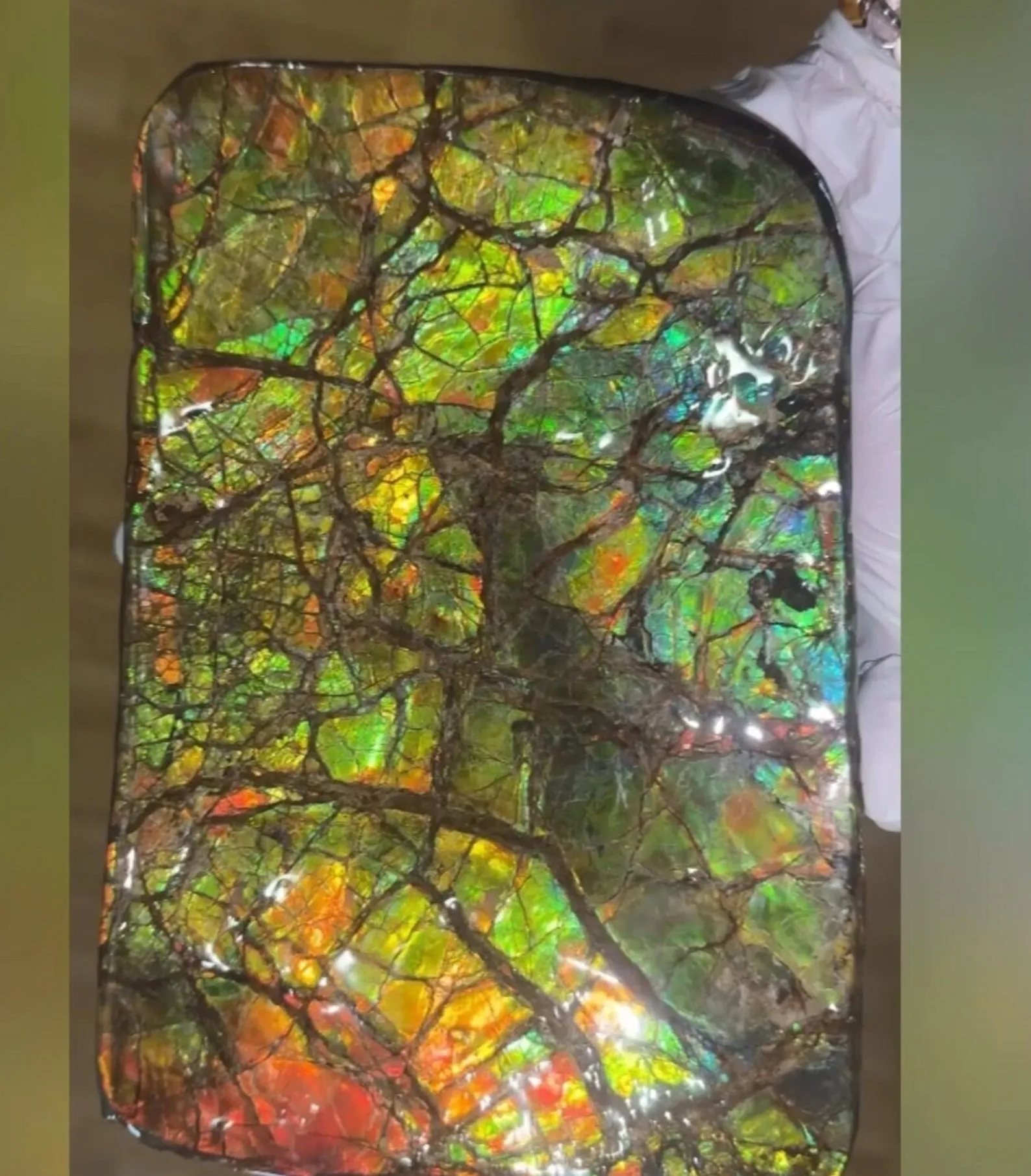 7.08" Ammolite Rough Display Stone,Handheld Specimen 180x126mm, Rough,Fossil,Fengshui,Metaphysical,Home Decor,Free standing CS-242