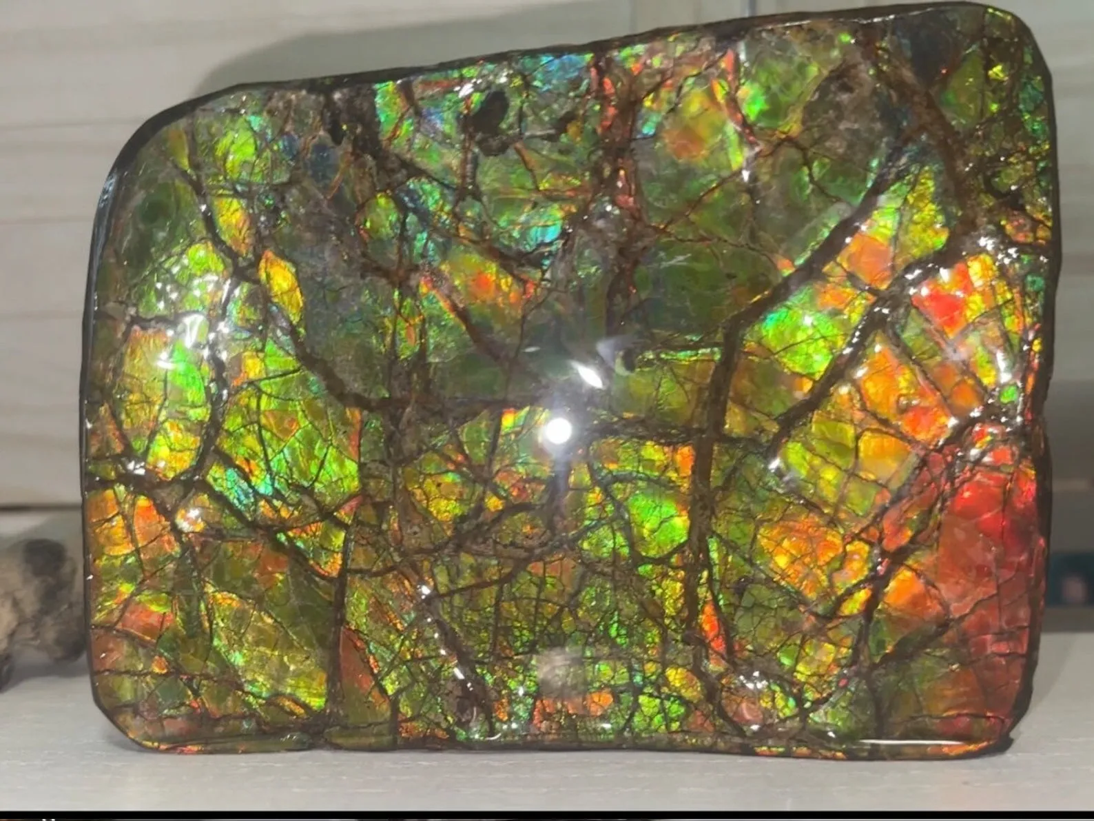7.08" Ammolite Rough Display Stone,Handheld Specimen 180x126mm, Rough,Fossil,Fengshui,Metaphysical,Home Decor,Free standing CS-242