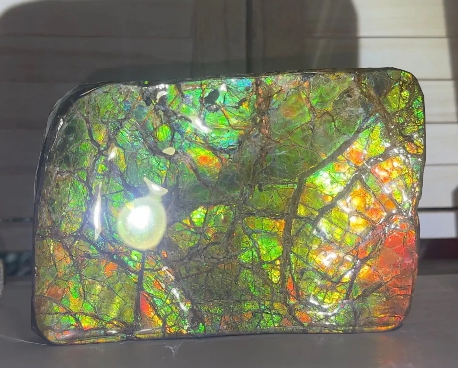 7.08" Ammolite Rough Display Stone,Handheld Specimen 180x126mm, Rough,Fossil,Fengshui,Metaphysical,Home Decor,Free standing CS-242