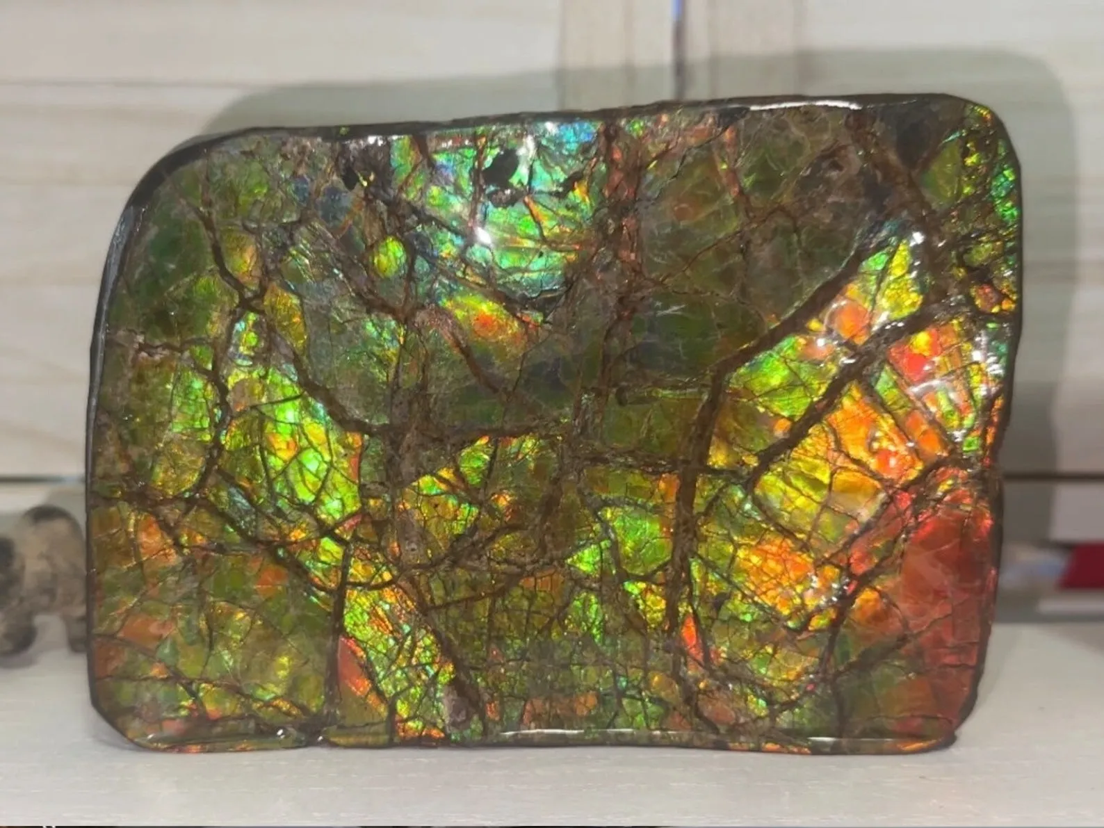 7.08" Ammolite Rough Display Stone,Handheld Specimen 180x126mm, Rough,Fossil,Fengshui,Metaphysical,Home Decor,Free standing CS-242