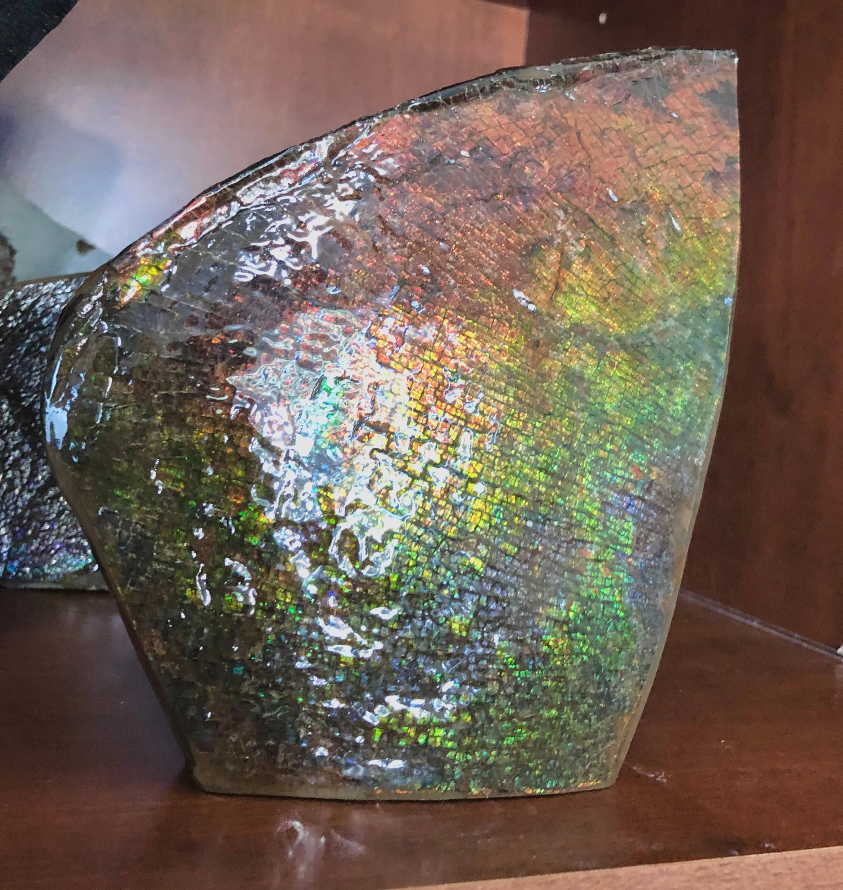 8" Double-Sided Ammolite Display Stone  Huge Fossil Section Piece 205mm 8" Collector Stone Home Décor  - CS-222***アンモライト 大型両面　コレクターストーン Free shipping