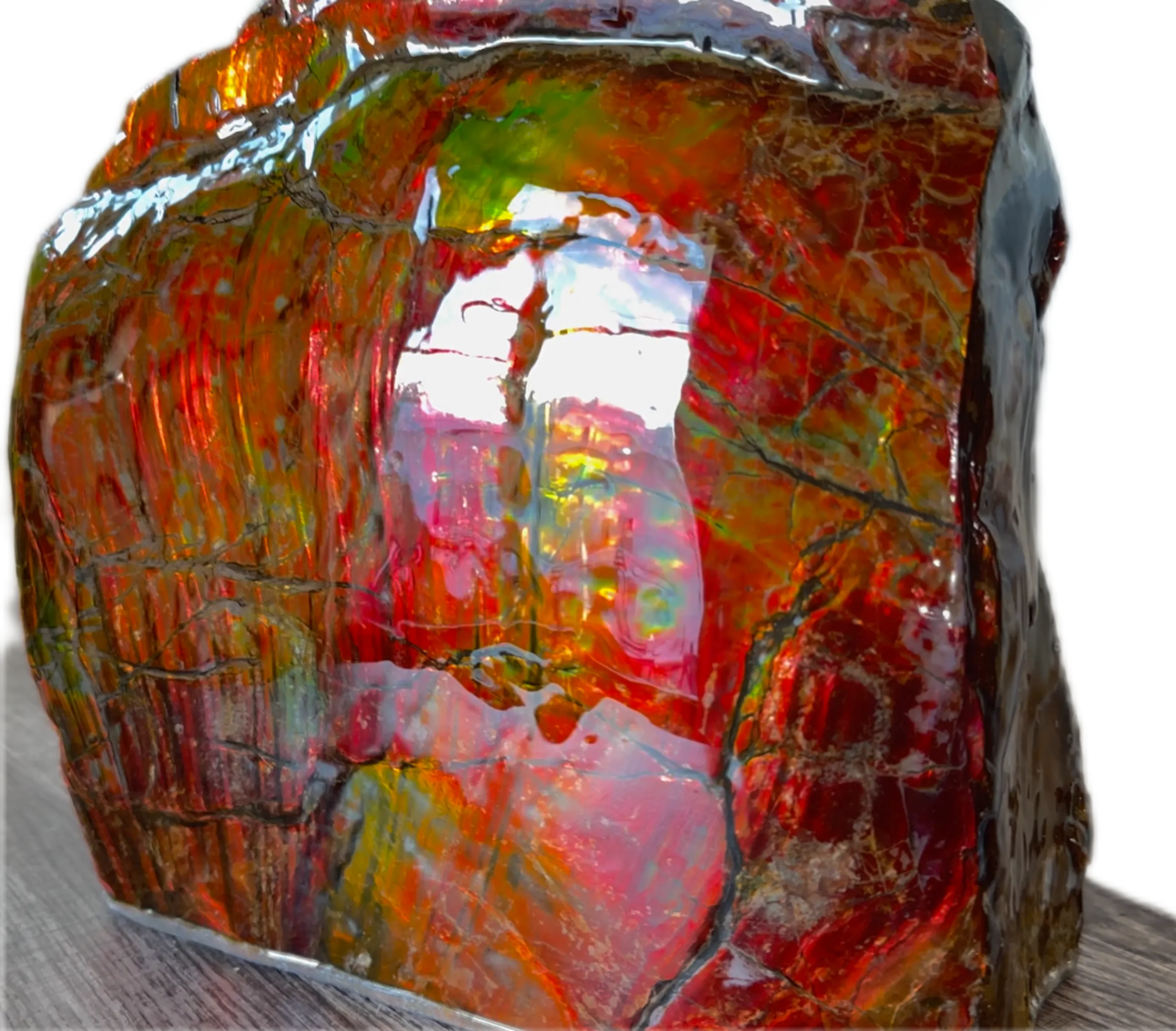 Ammolite Display Gem! , Collector's Gem, Handheld Specimen  Keel section piece,Double-sided,Fossi,Metaphysical,Home Decor,　CS-254 FREE SHIPPING