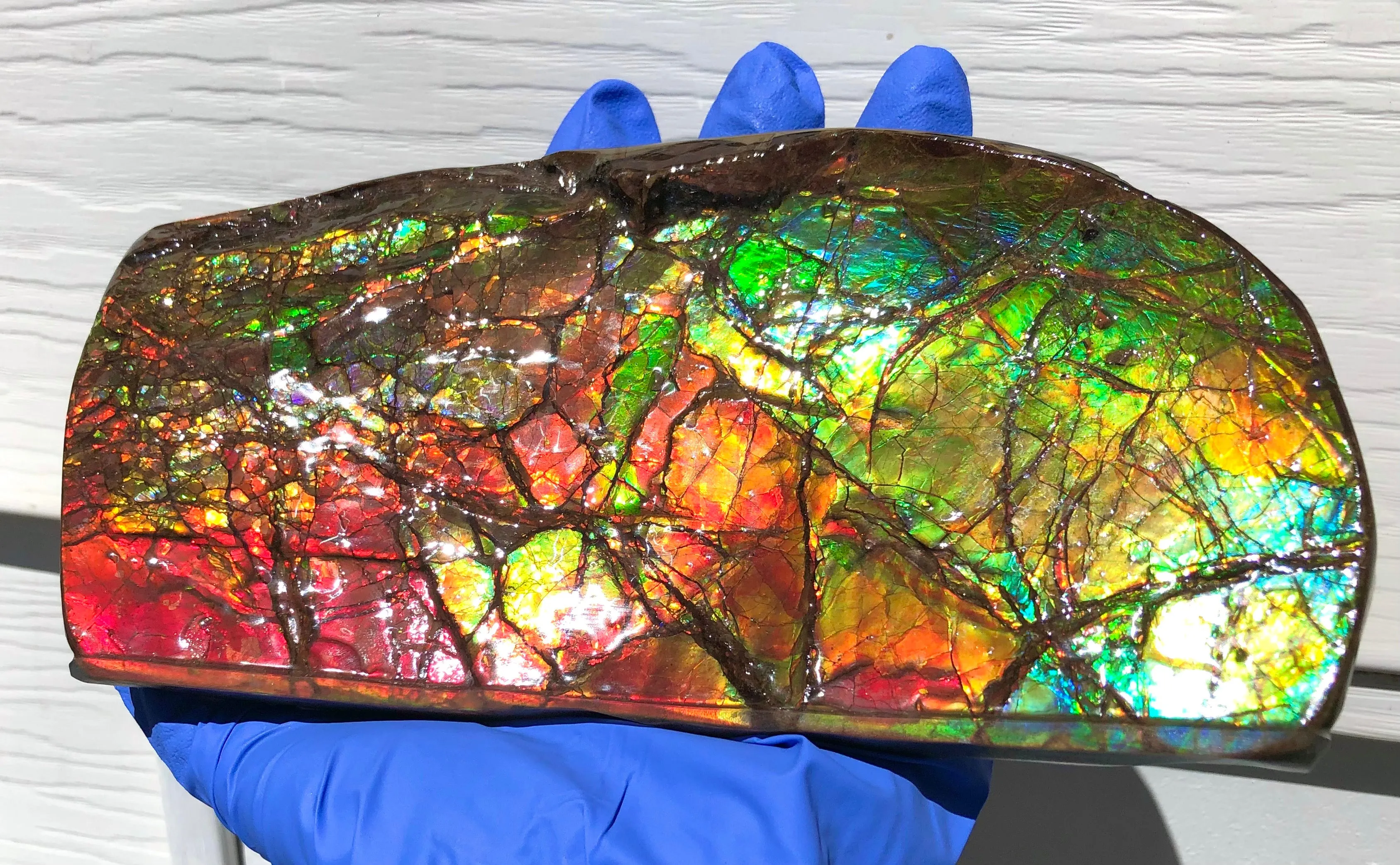 Ammolite Display Stone Hand Specimen Huge Section Piece 200mm 7.9" Collector Stone Home Décor  - CS-217***アンモライト　コレクターストーン