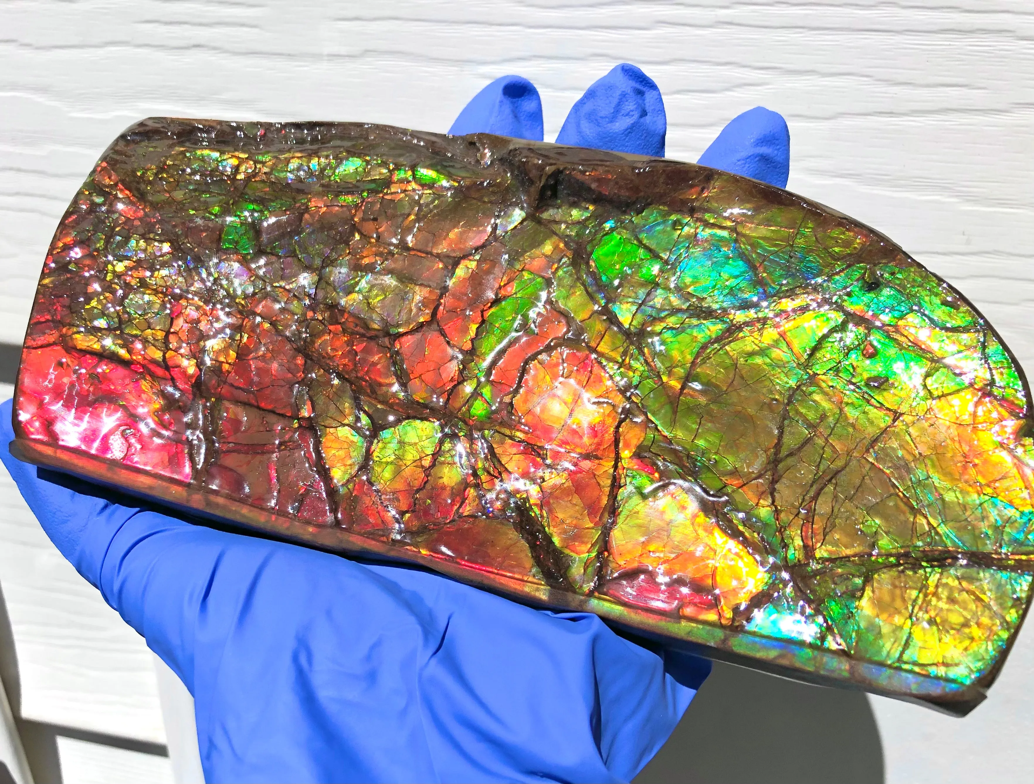 Ammolite Display Stone Hand Specimen Huge Section Piece 200mm 7.9" Collector Stone Home Décor  - CS-217***アンモライト　コレクターストーン