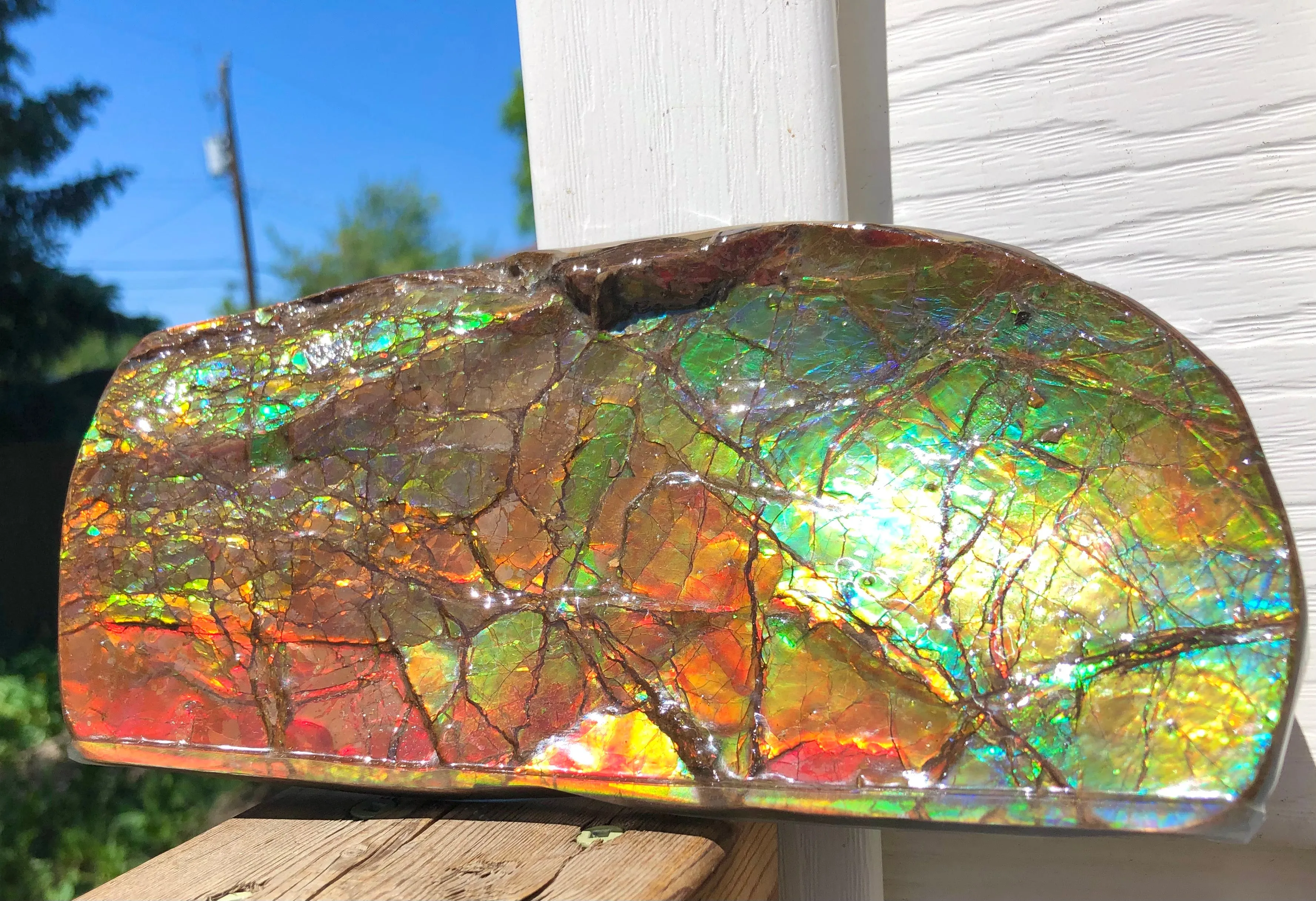 Ammolite Display Stone Hand Specimen Huge Section Piece 200mm 7.9" Collector Stone Home Décor  - CS-217***アンモライト　コレクターストーン