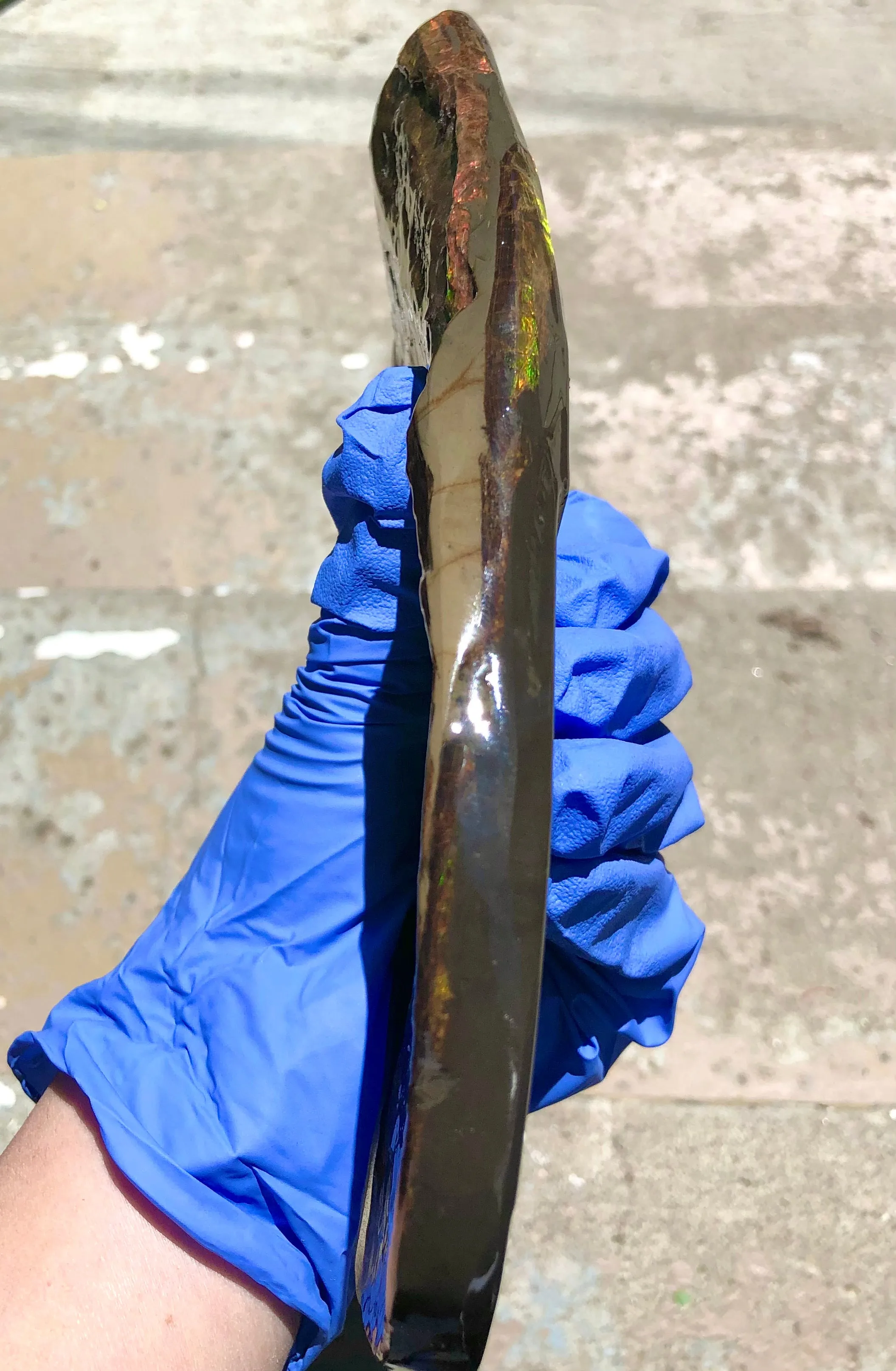 Ammolite Display Stone Hand Specimen Huge Section Piece 200mm 7.9" Collector Stone Home Décor  - CS-217***アンモライト　コレクターストーン