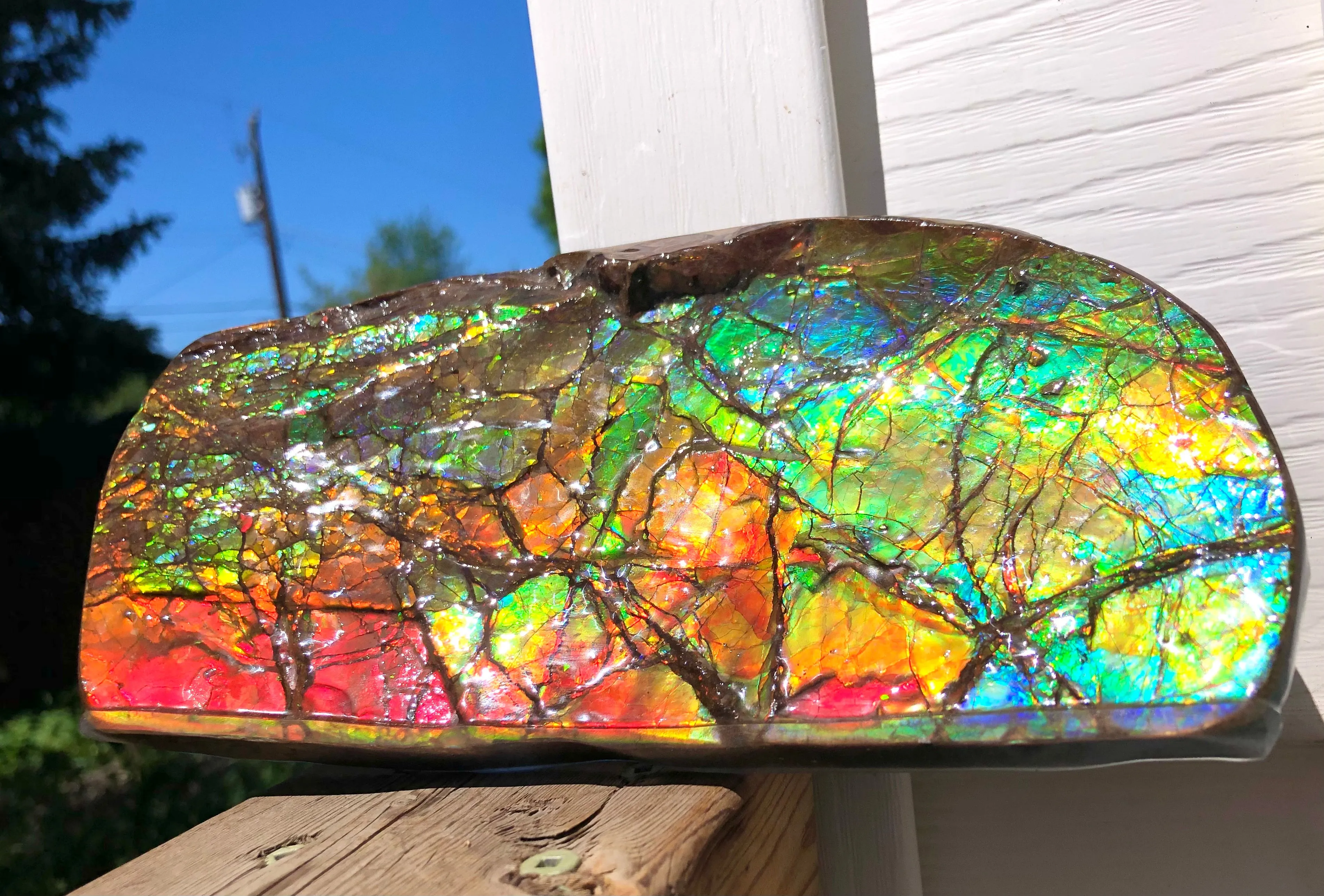 Ammolite Display Stone Hand Specimen Huge Section Piece 200mm 7.9" Collector Stone Home Décor  - CS-217***アンモライト　コレクターストーン
