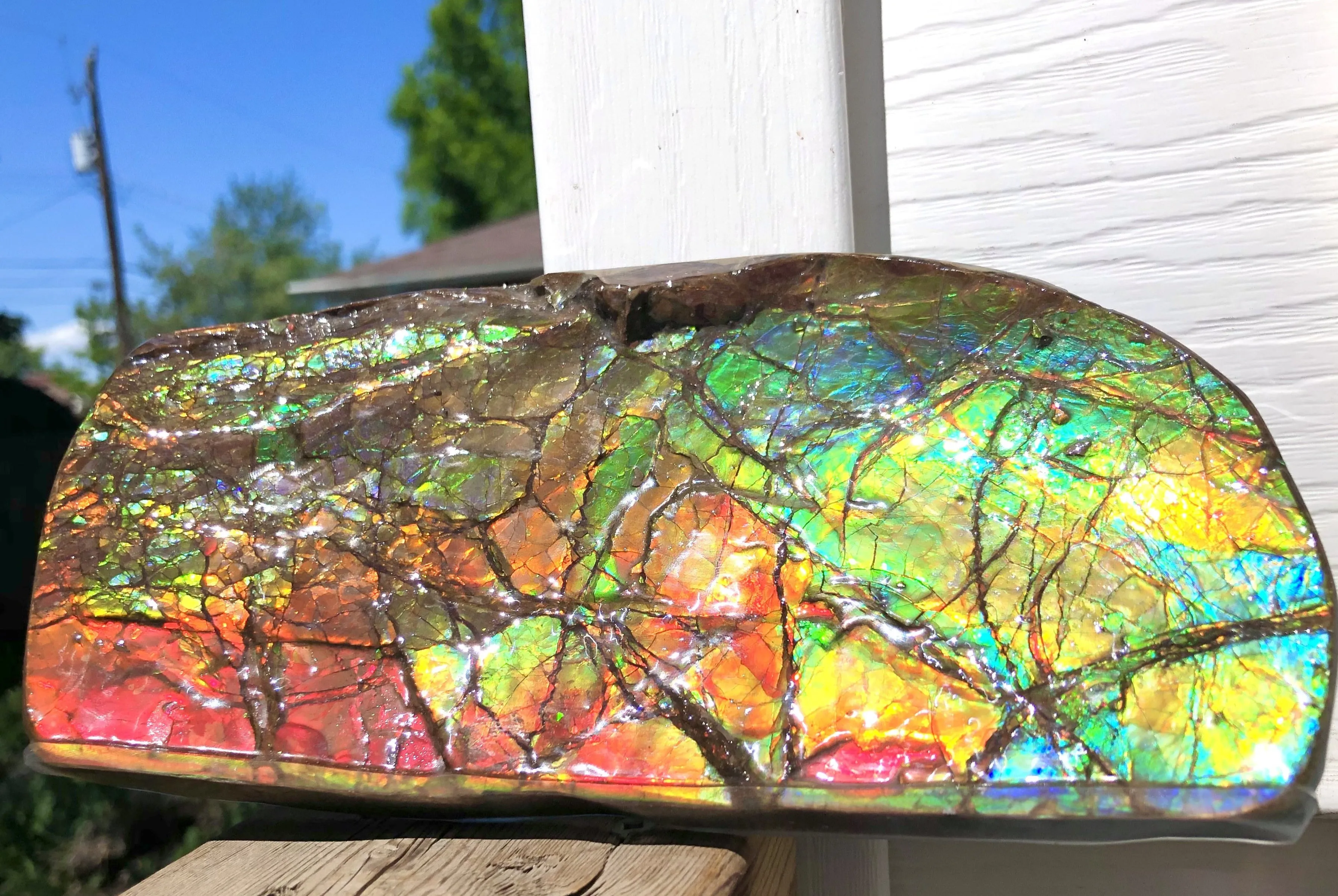 Ammolite Display Stone Hand Specimen Huge Section Piece 200mm 7.9" Collector Stone Home Décor  - CS-217***アンモライト　コレクターストーン