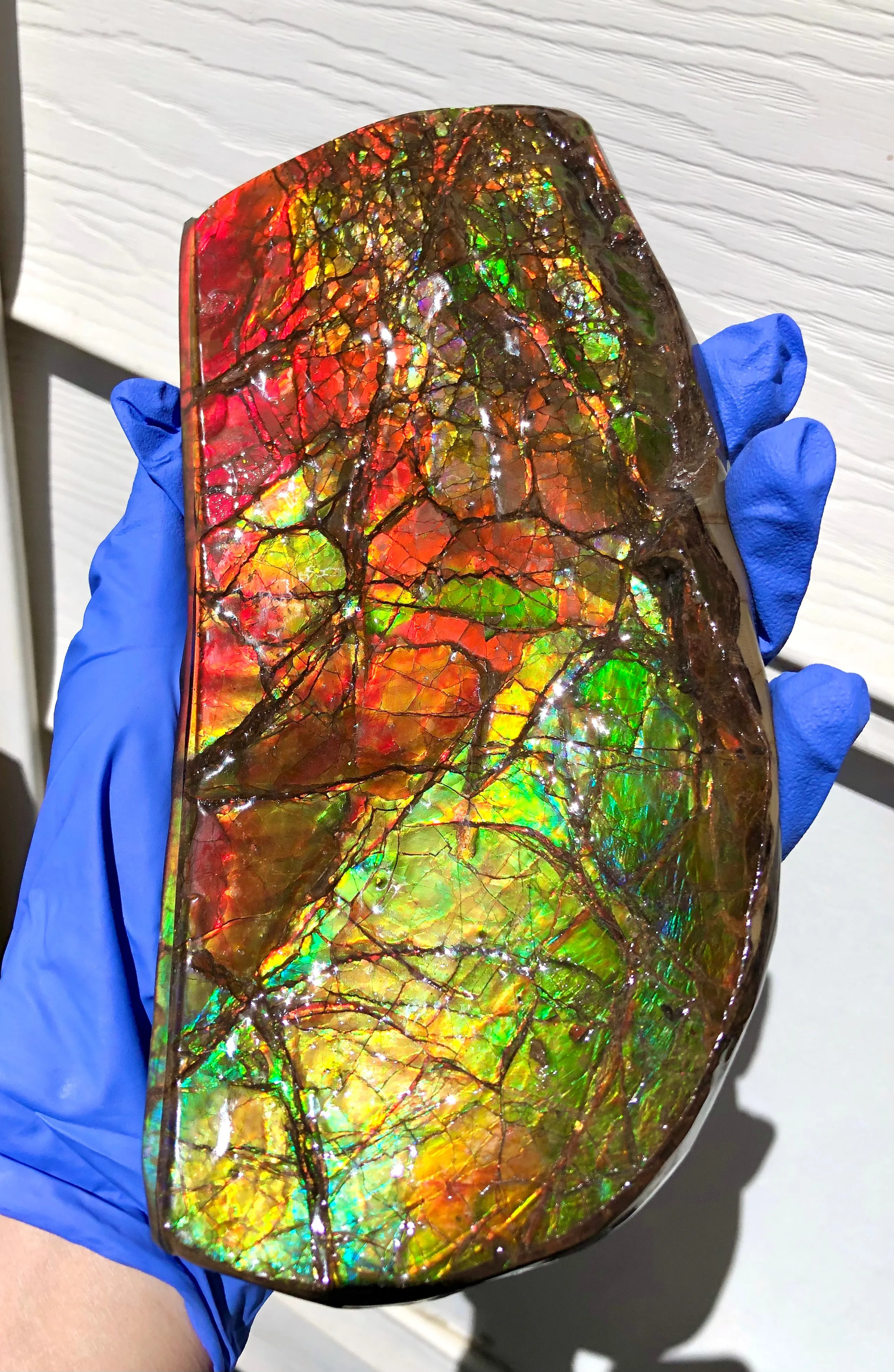 Ammolite Display Stone Hand Specimen Huge Section Piece 200mm 7.9" Collector Stone Home Décor  - CS-217***アンモライト　コレクターストーン