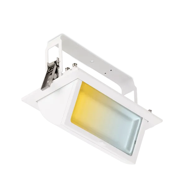 Aurora PrysimCS EN-WW42CS 230V 45W LED IP65 Adjustable Rectangular Wallwasher 3000K/4000K