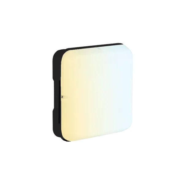 Aurora UtiliteDrumCWS AU-BH18SCWSBLK 230V 10/15/20W LED IP65 Square Bulkhead Black 3000/4000/6500K