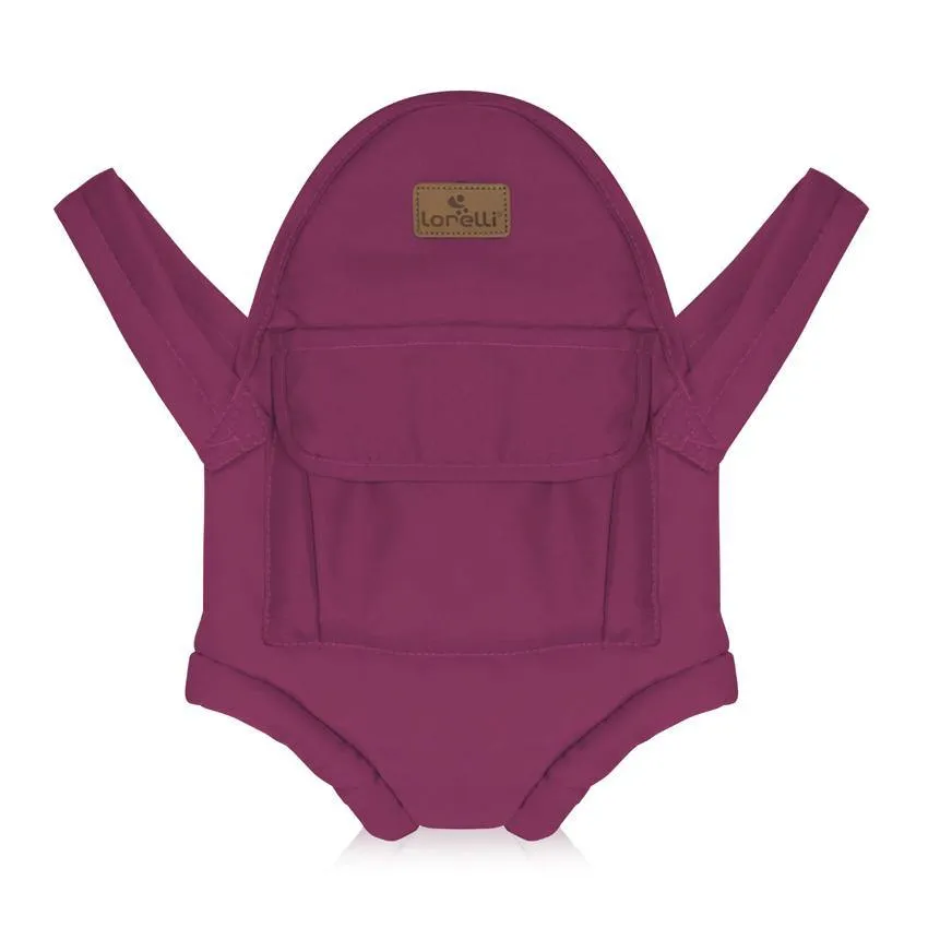 Baby carrier holiday