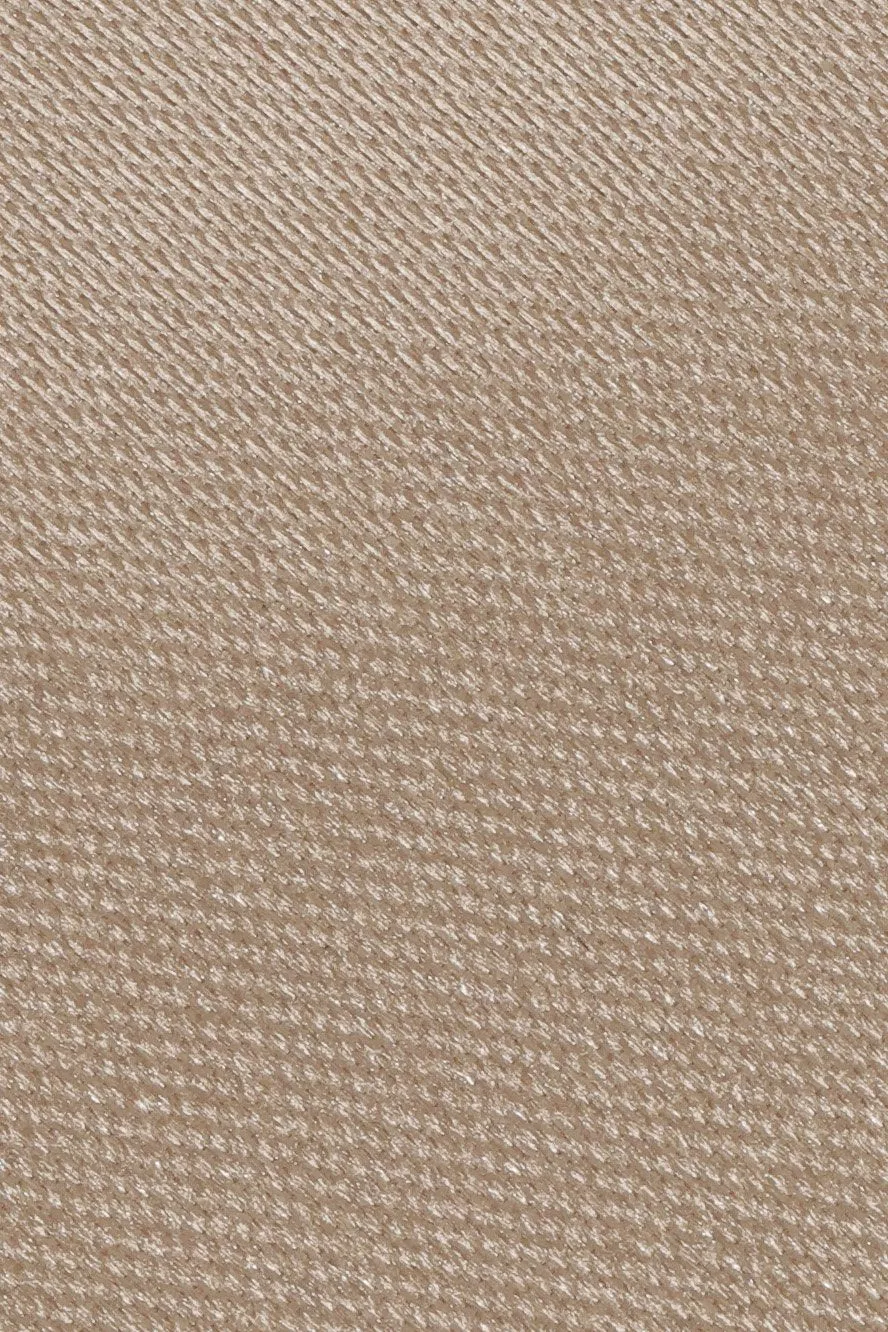 Biscotti Eternity Necktie