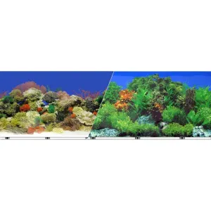 BLUE RIBBON BACKGROUND DOUBLE-SIDED CORAL REEF/FRESHWATER