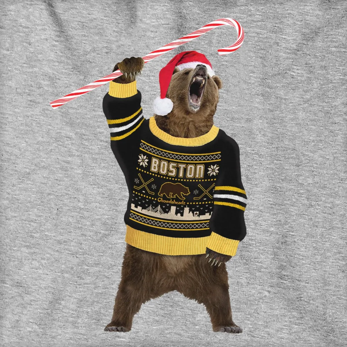 Boston Holiday Sweater Bear Hoodie
