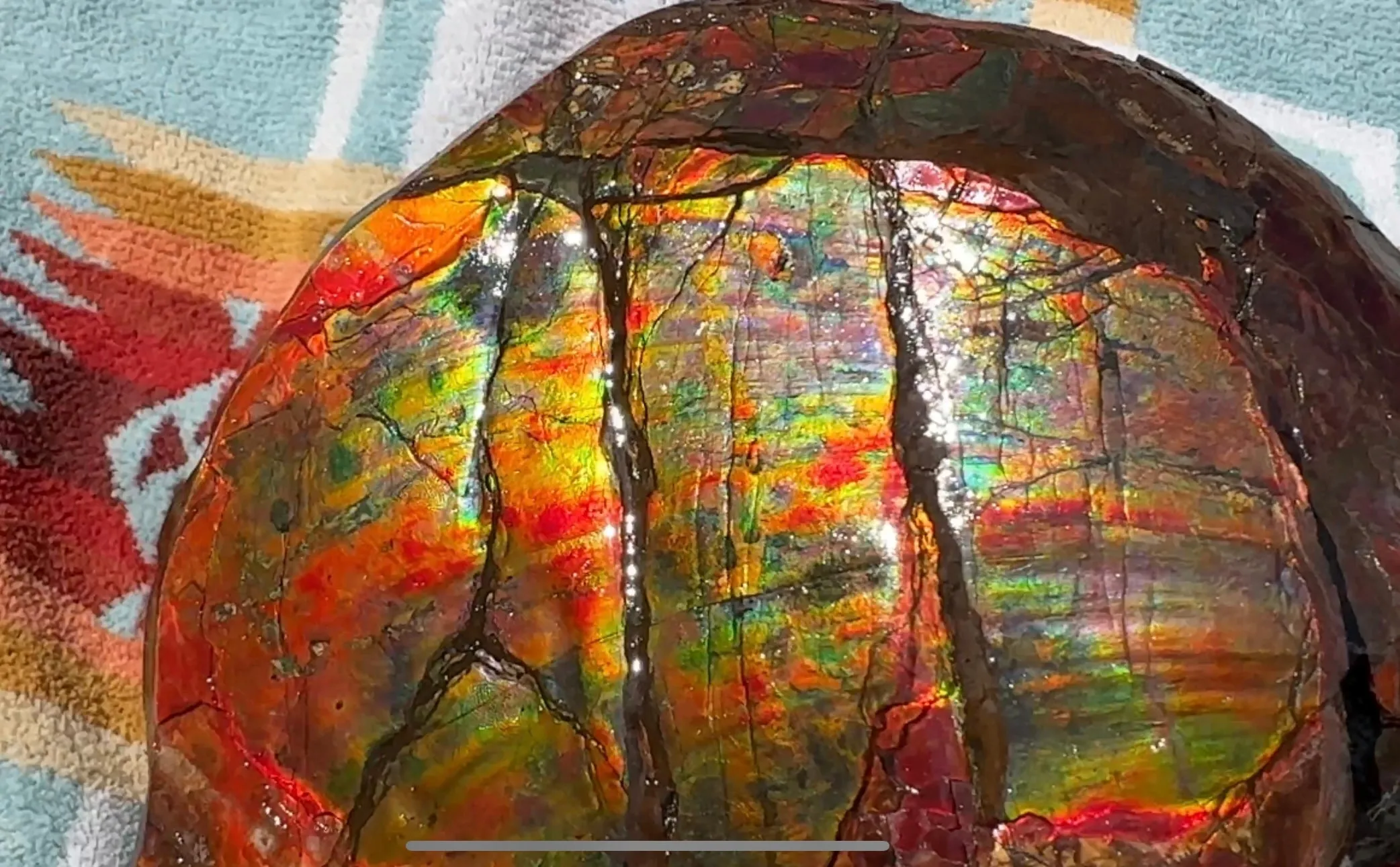 Buy it now or make an offer! Canadian Ammolite  Ammonite Partial Fossil  Big Specimen Home Décor,- CS-238***アンモライト 大型両面 斑彩石 コレクターストーン　価格交渉 FREE SHIPPING