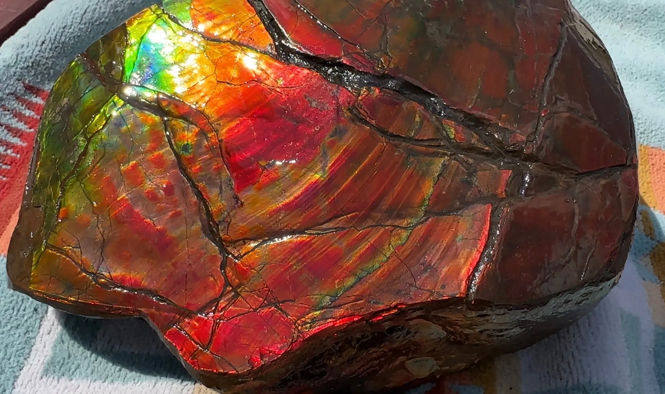 Buy it now or make an offer! Canadian Ammolite  Ammonite Partial Fossil  Big Specimen Home Décor,- CS-238***アンモライト 大型両面 斑彩石 コレクターストーン　価格交渉 FREE SHIPPING
