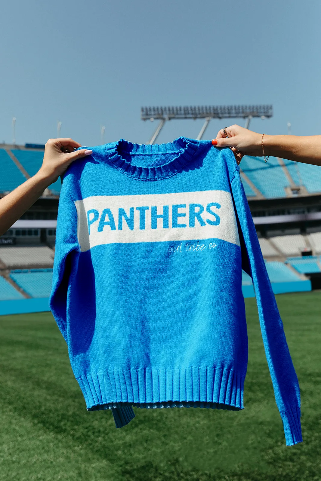Carolina Panthers Colorblock Sweater