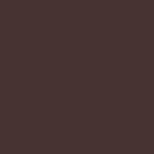 Carta Bella - Printed Cardstock - 12x12 Single Sheet - Chocolate