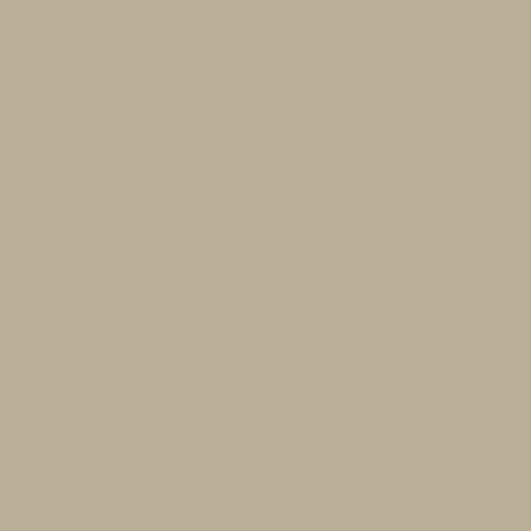 Carta Bella - Printed Cardstock - 12x12 Single Sheet - Tan