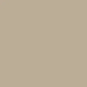 Carta Bella - Printed Cardstock - 12x12 Single Sheet - Tan