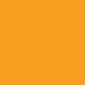 Carta Bella - Printed Cardstock - 12x12 Single Sheet - Tangerine