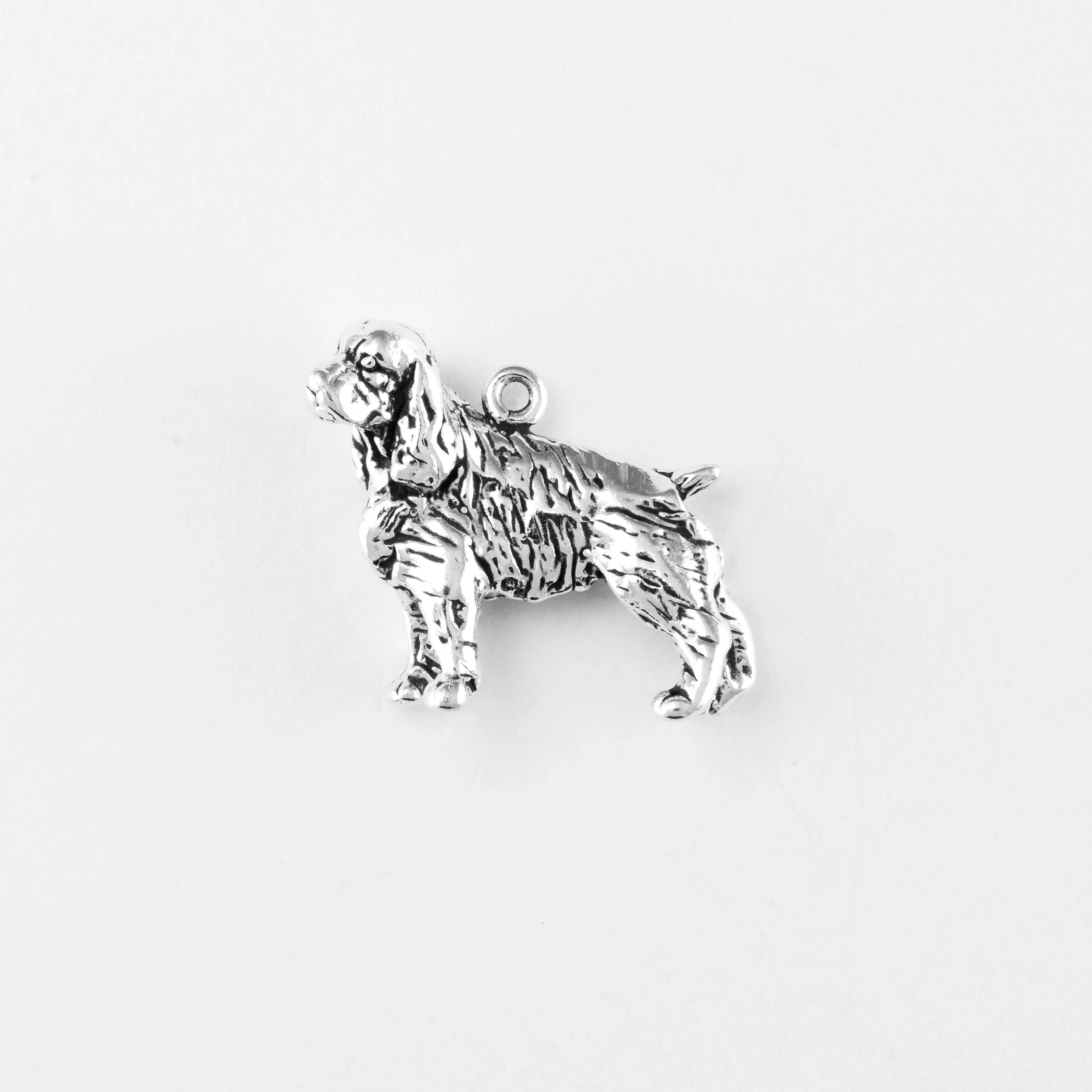Cocker Spaniel, Sm Body