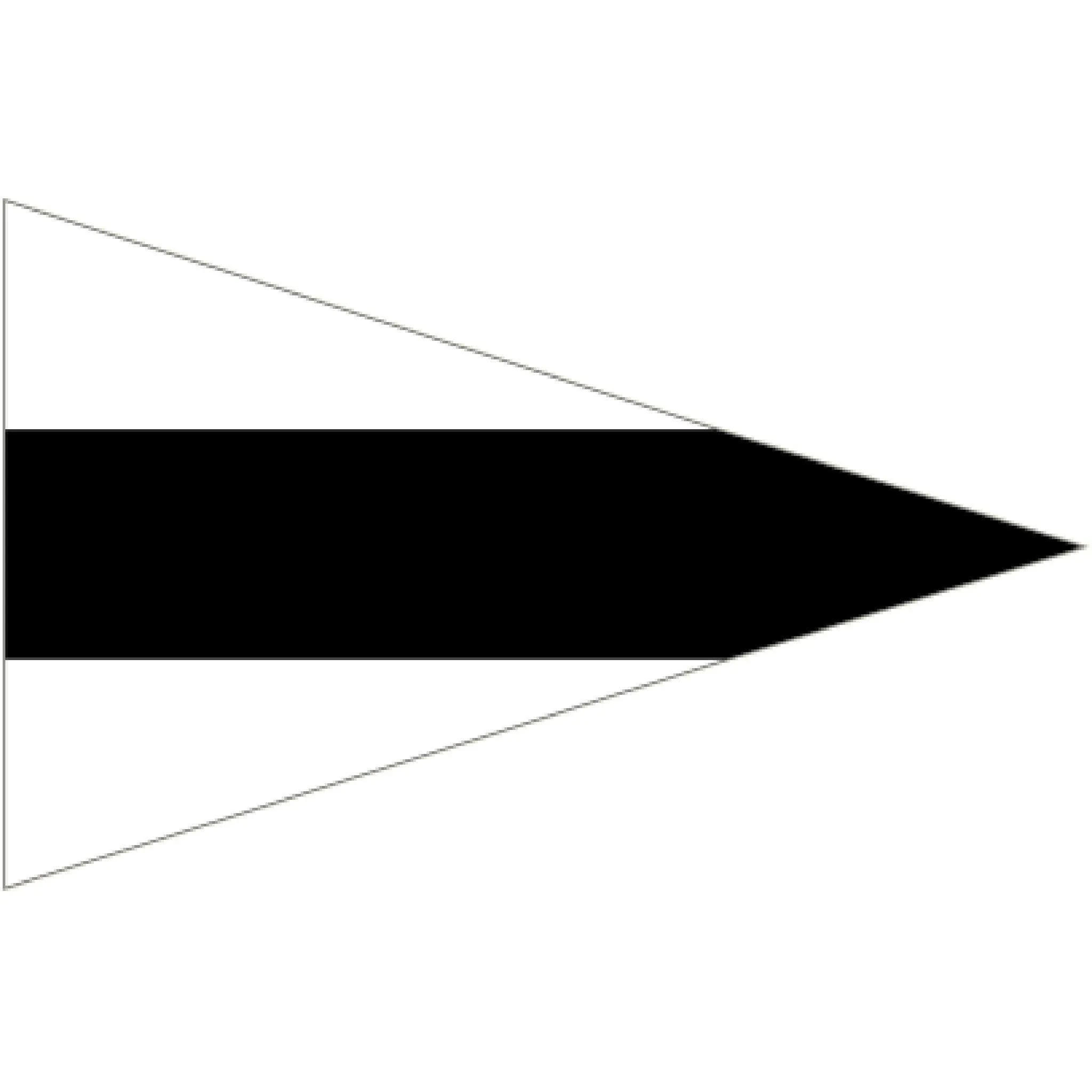 Code Flag Substitute 3