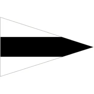 Code Flag Substitute 3
