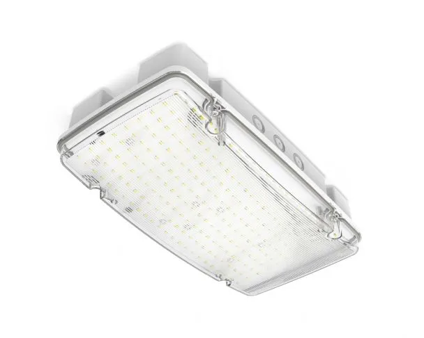 Collingwood EMBMAX Salvus Max High Output Emergency Bulkhead Manual Test, 6-10W, IP66