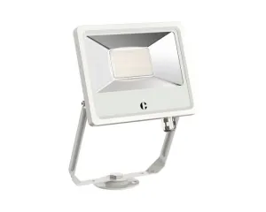 Collingwood FL03WXCS White 30W Colour Switchable Floodlight, Standard