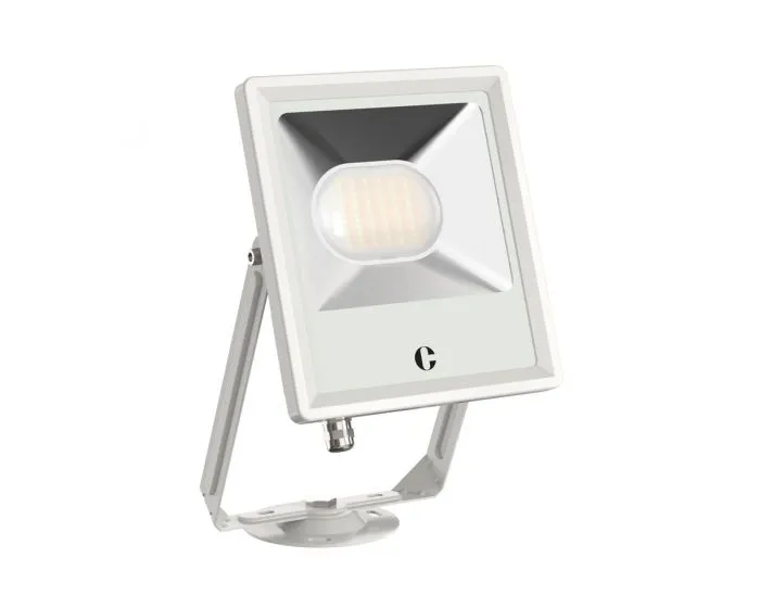 Collingwood FL05WXCS White 50W Colour Switchable Floodlight, Standard