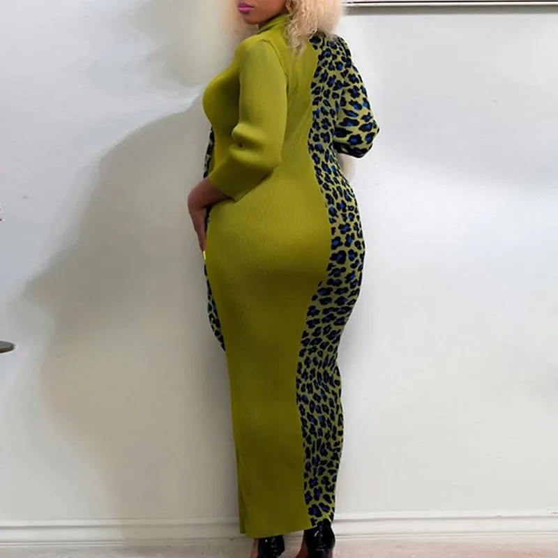 Colorblock Leopard Print Long Sleeve Plus Size Maxi Dress