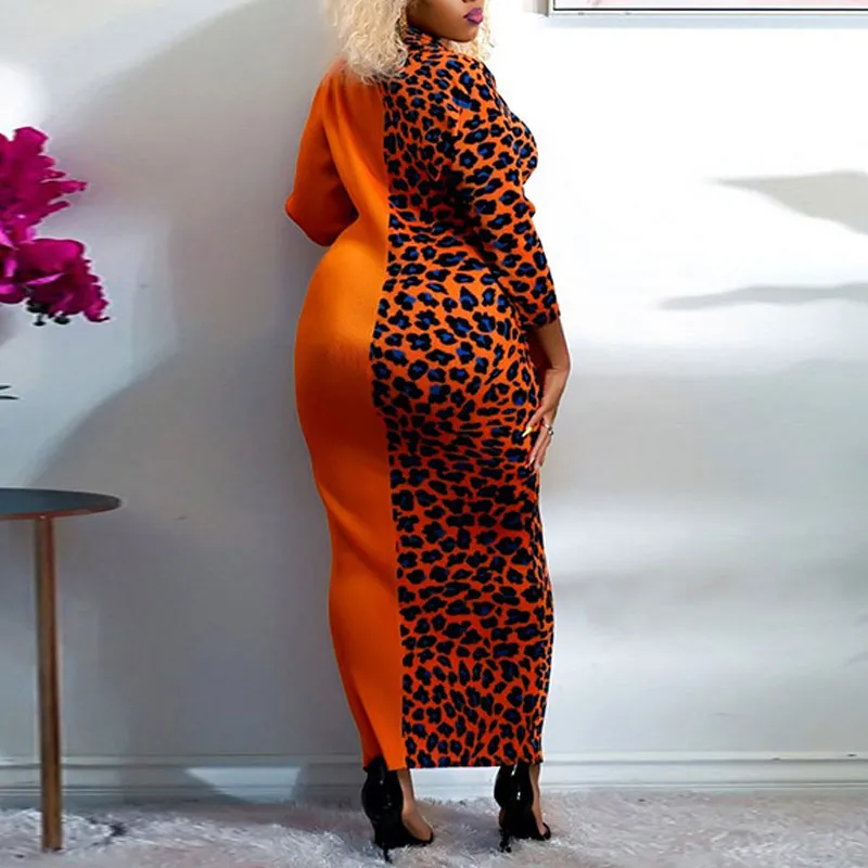Colorblock Leopard Print Long Sleeve Plus Size Maxi Dress