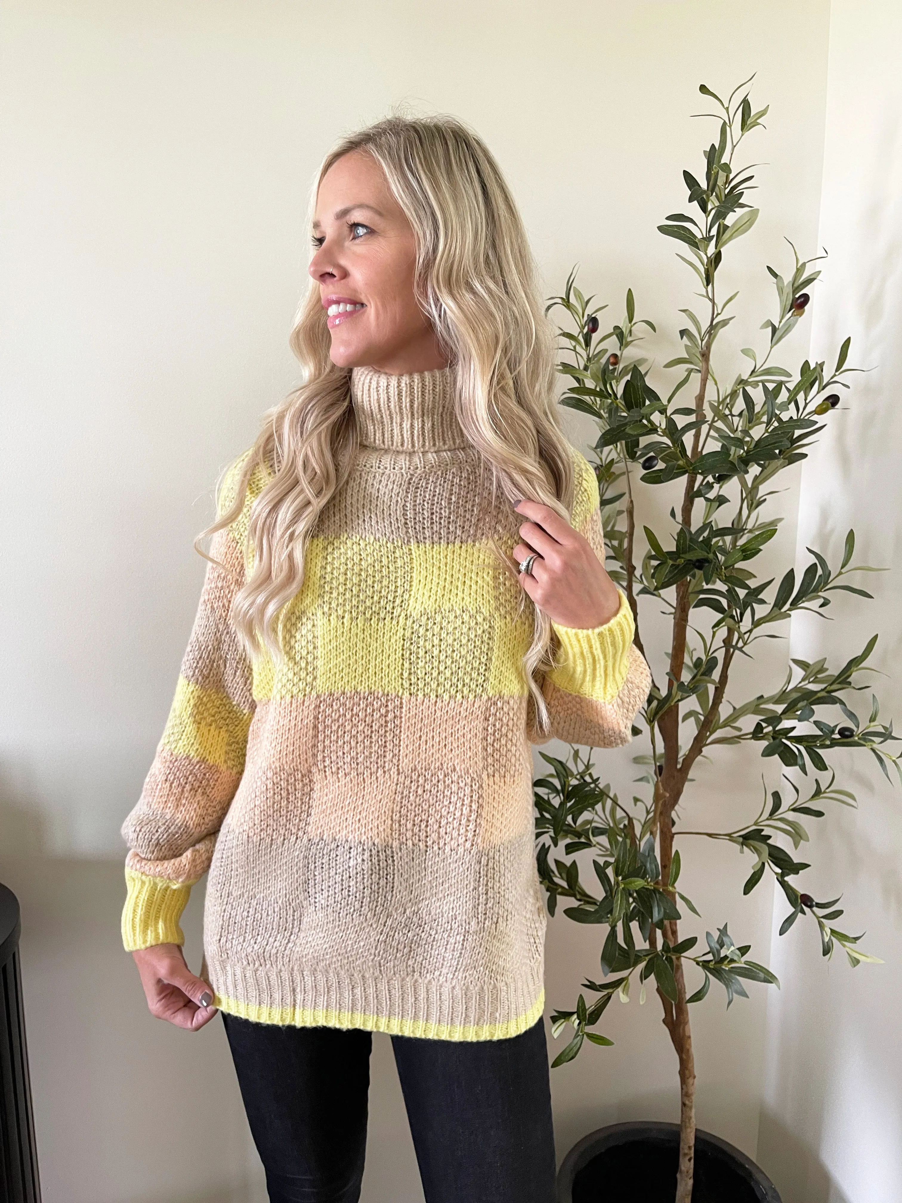 Colorblock Turtle Neck Sweater