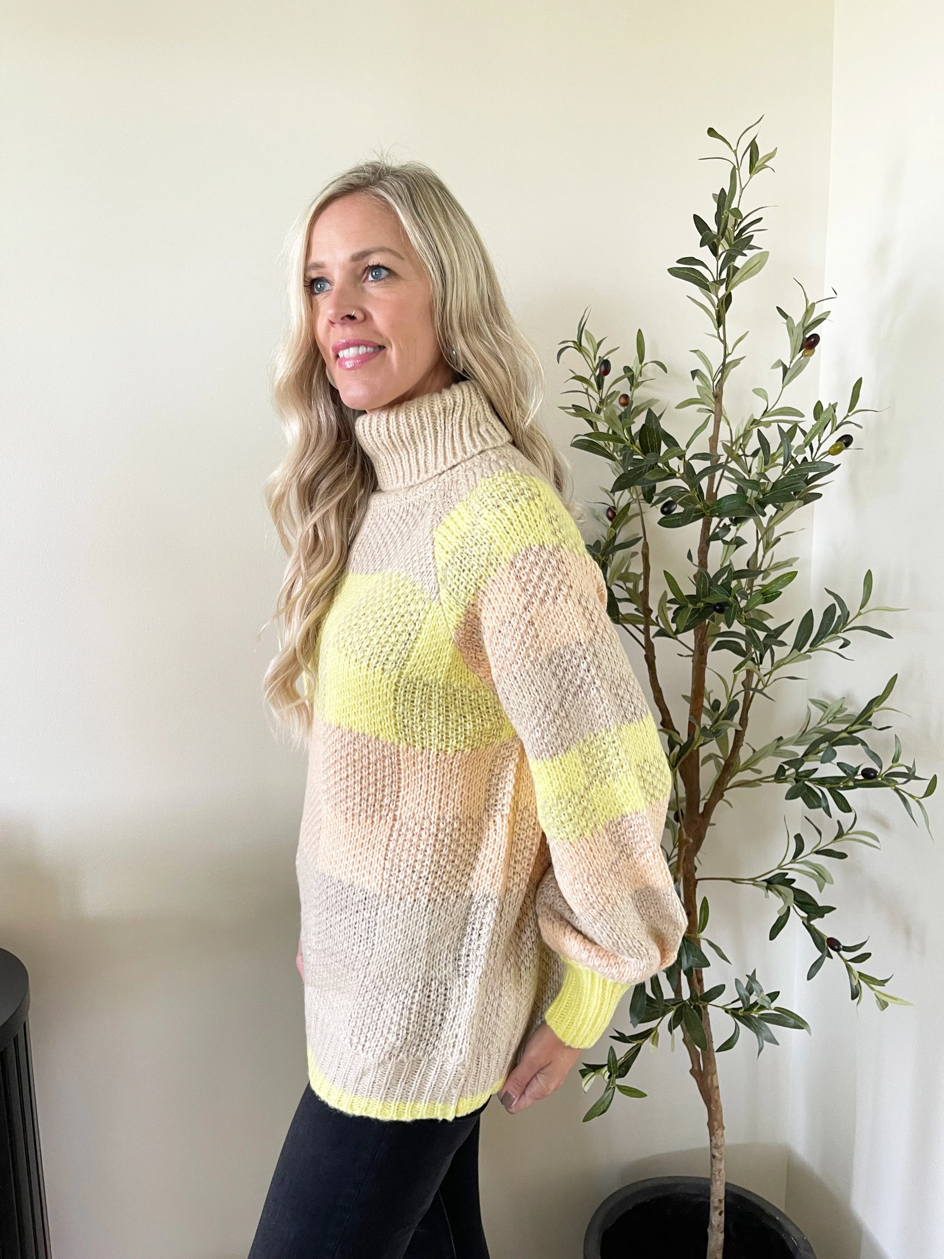 Colorblock Turtle Neck Sweater