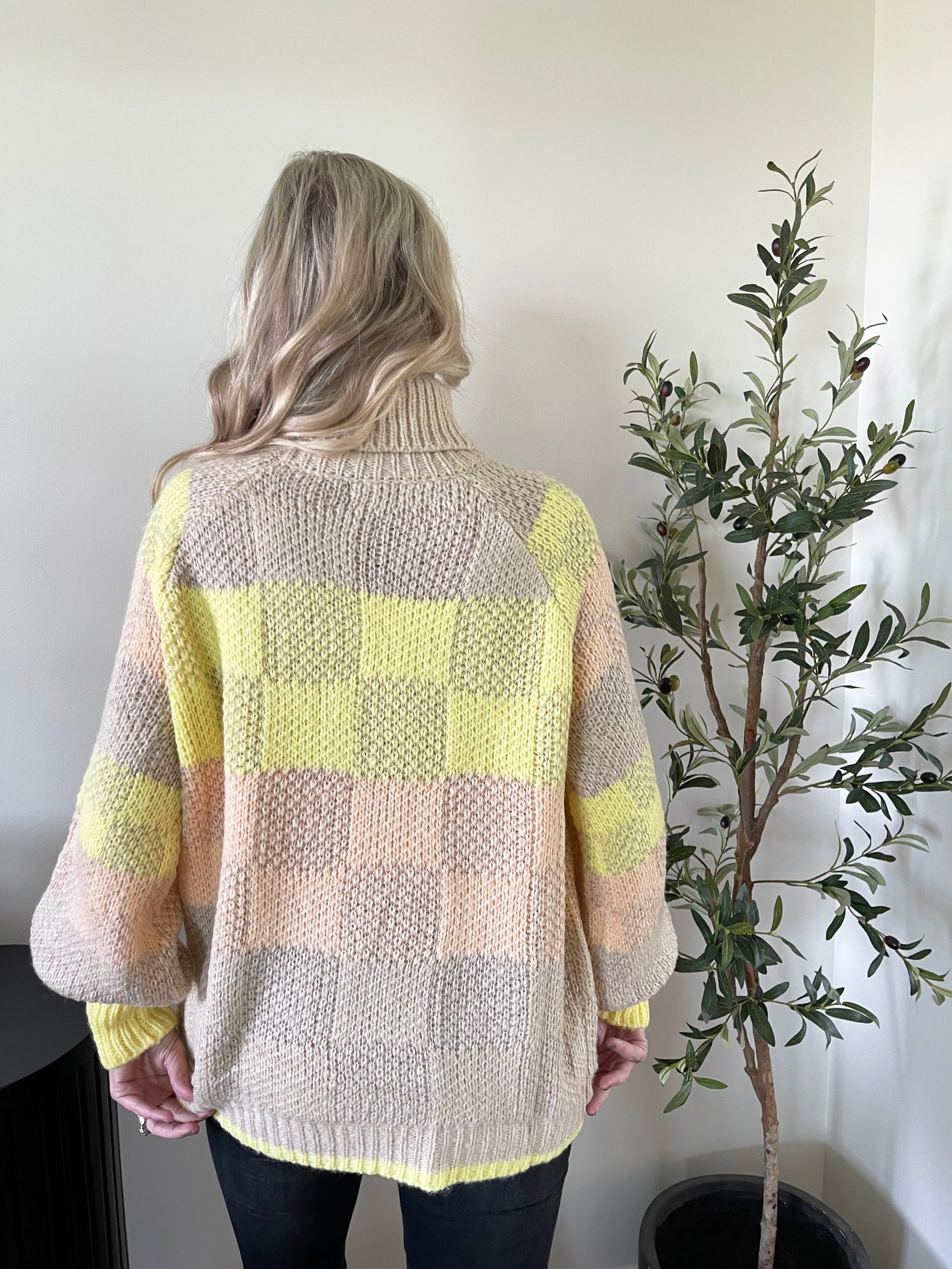 Colorblock Turtle Neck Sweater