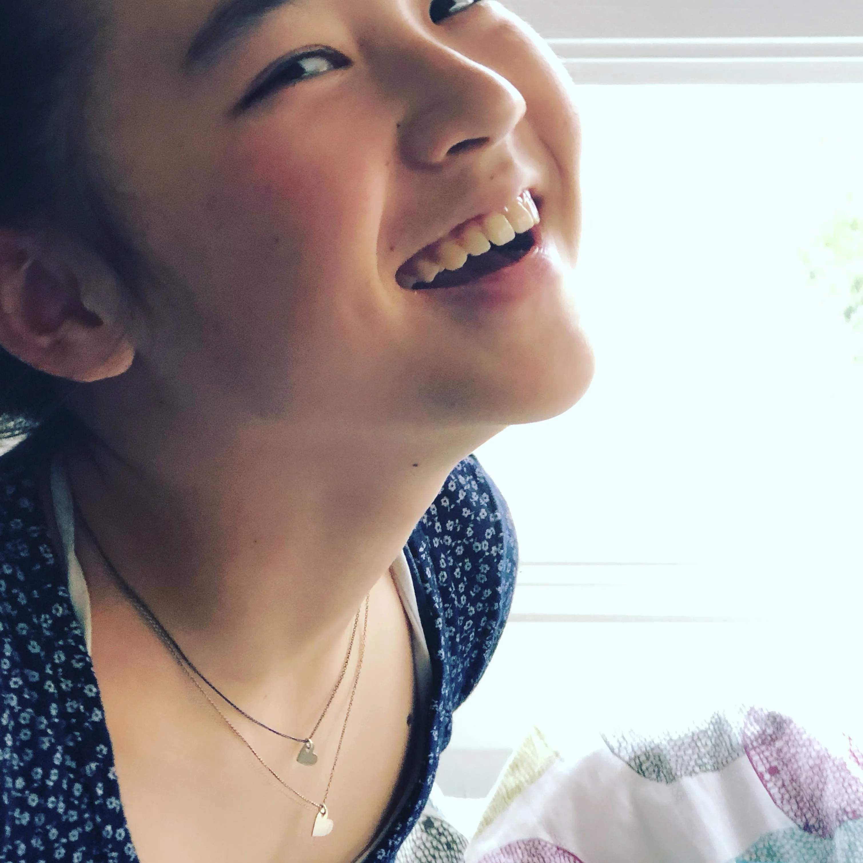 Double Heart Necklace II
