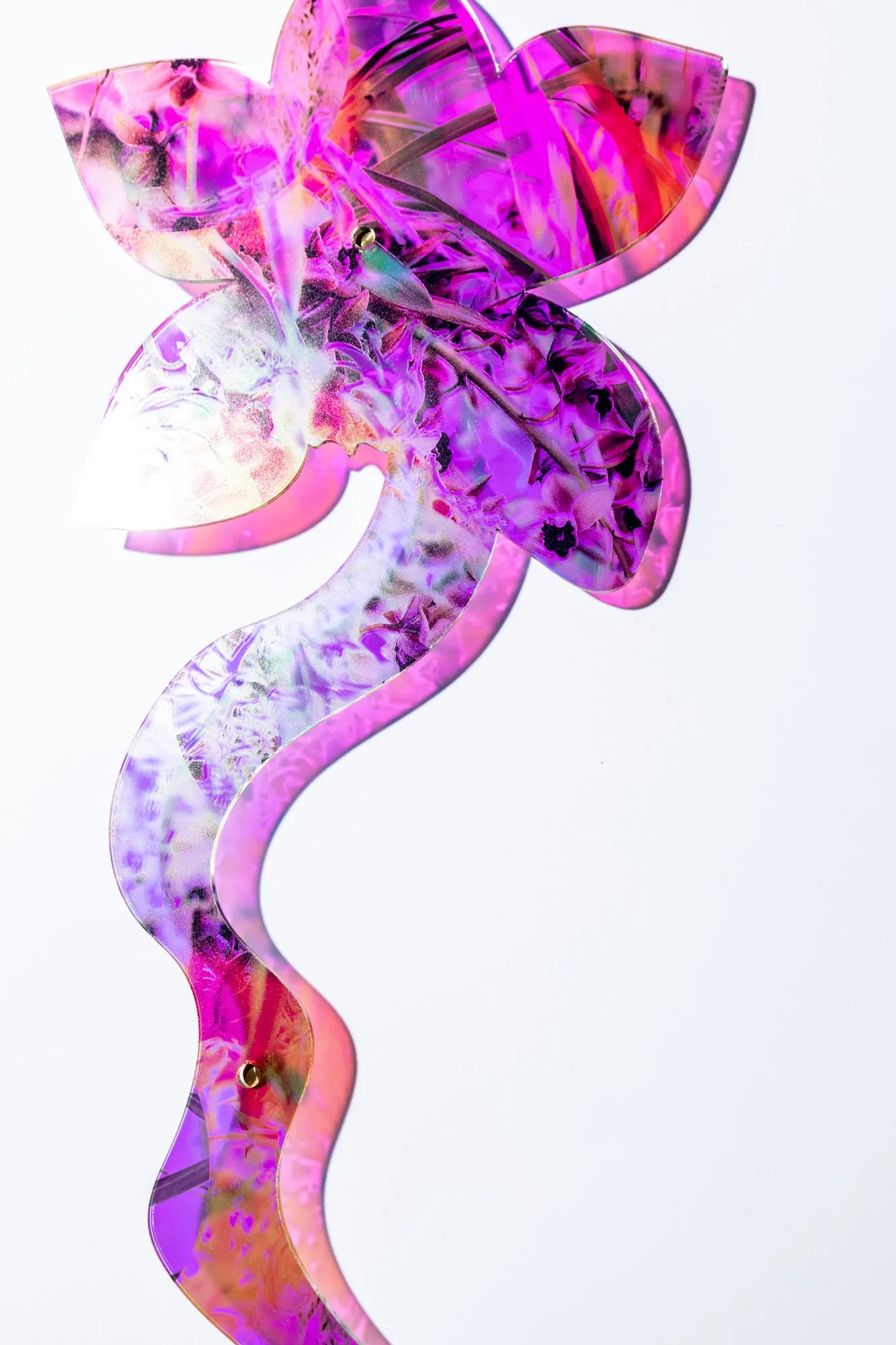 Double Sided Orchid
