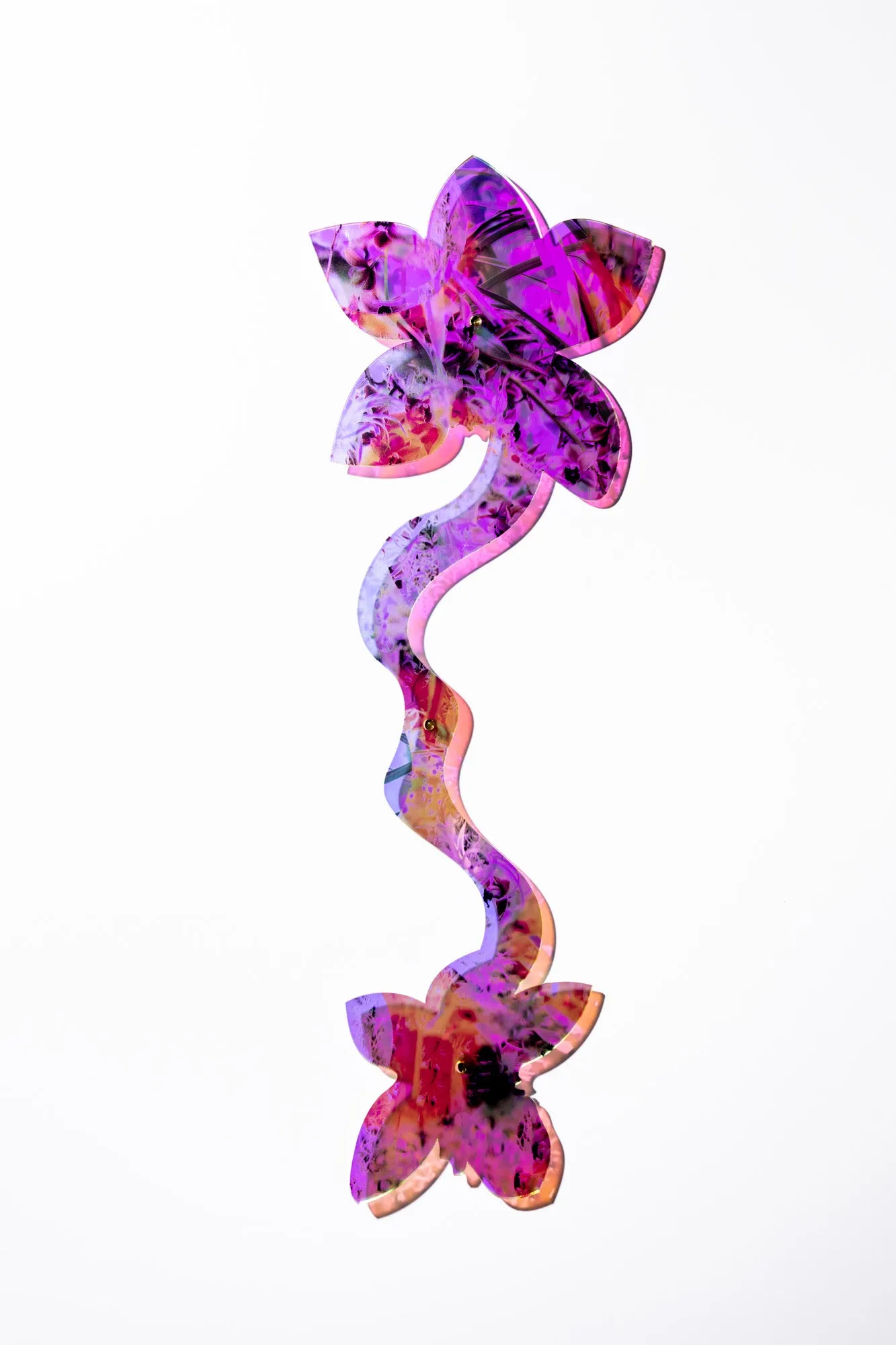 Double Sided Orchid