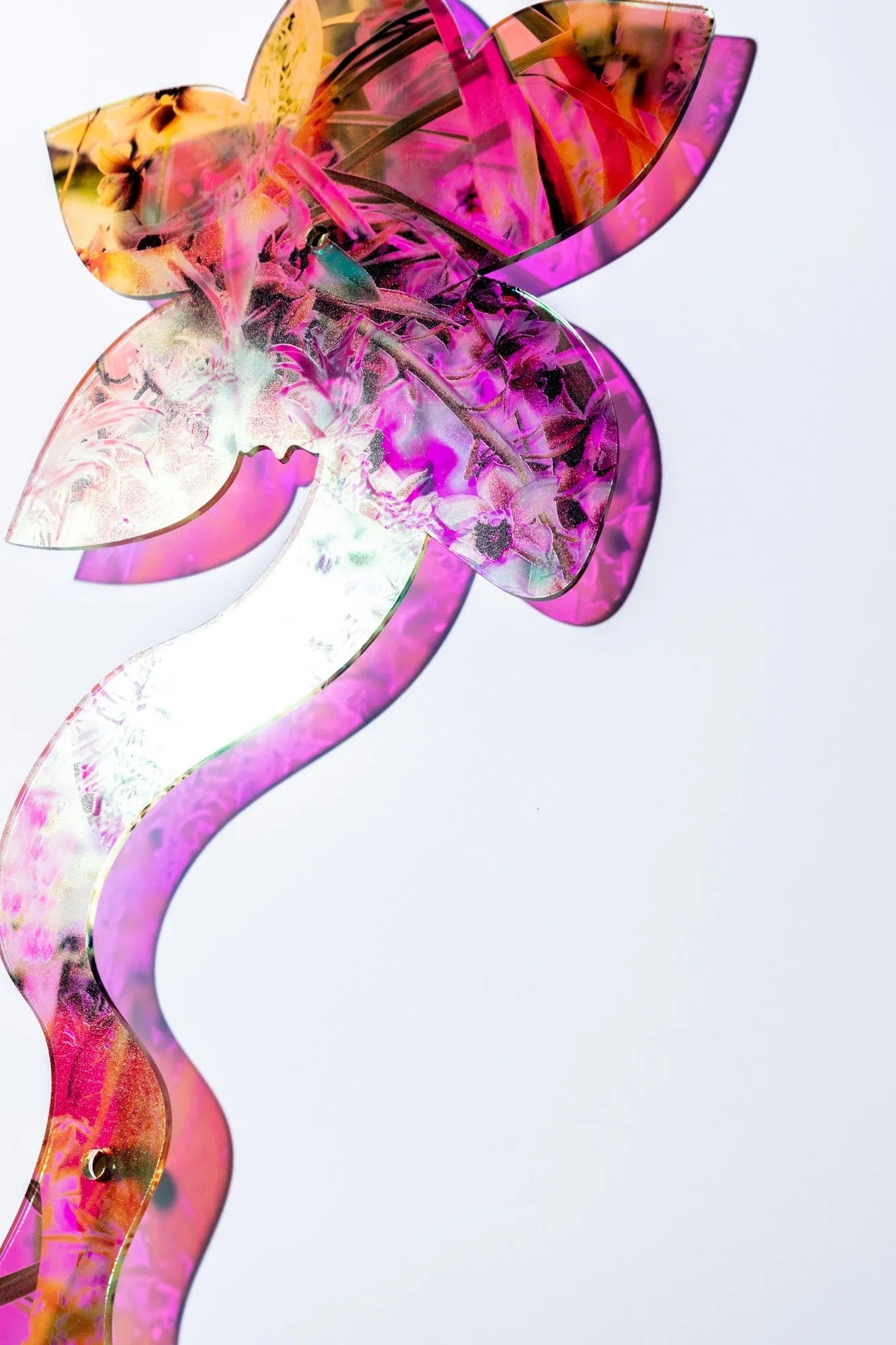 Double Sided Orchid