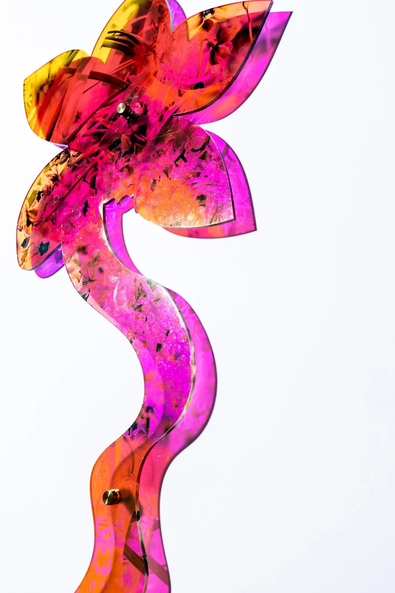 Double Sided Orchid