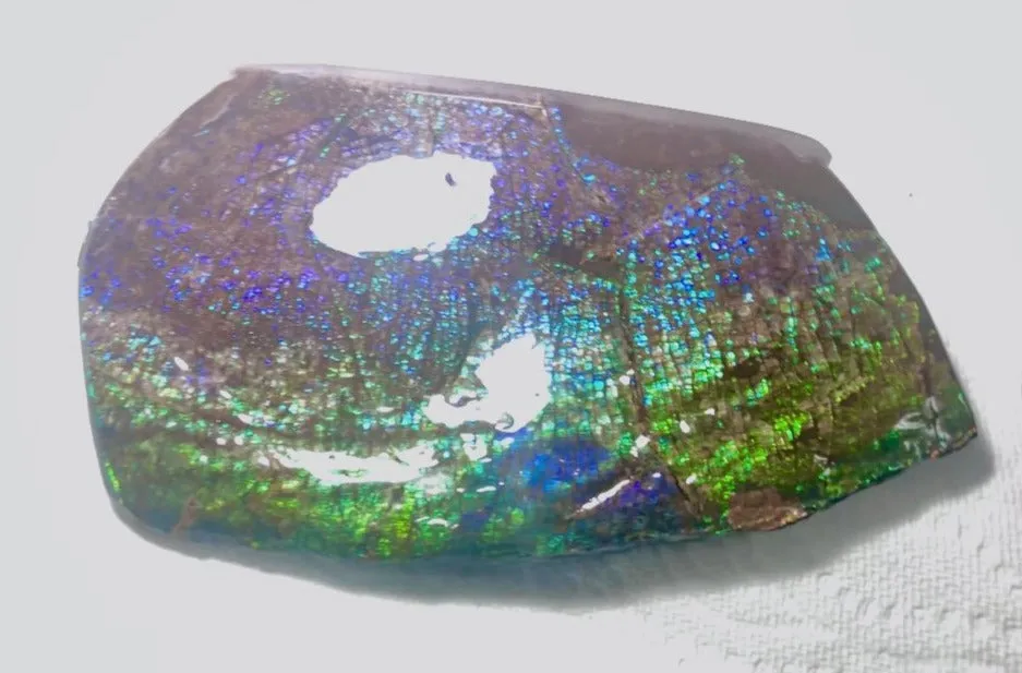 Dragon Skin Collector Stone Double Sided Specimen - CS-206***FREE SHIPPING****アンモライト　コレクターストーン